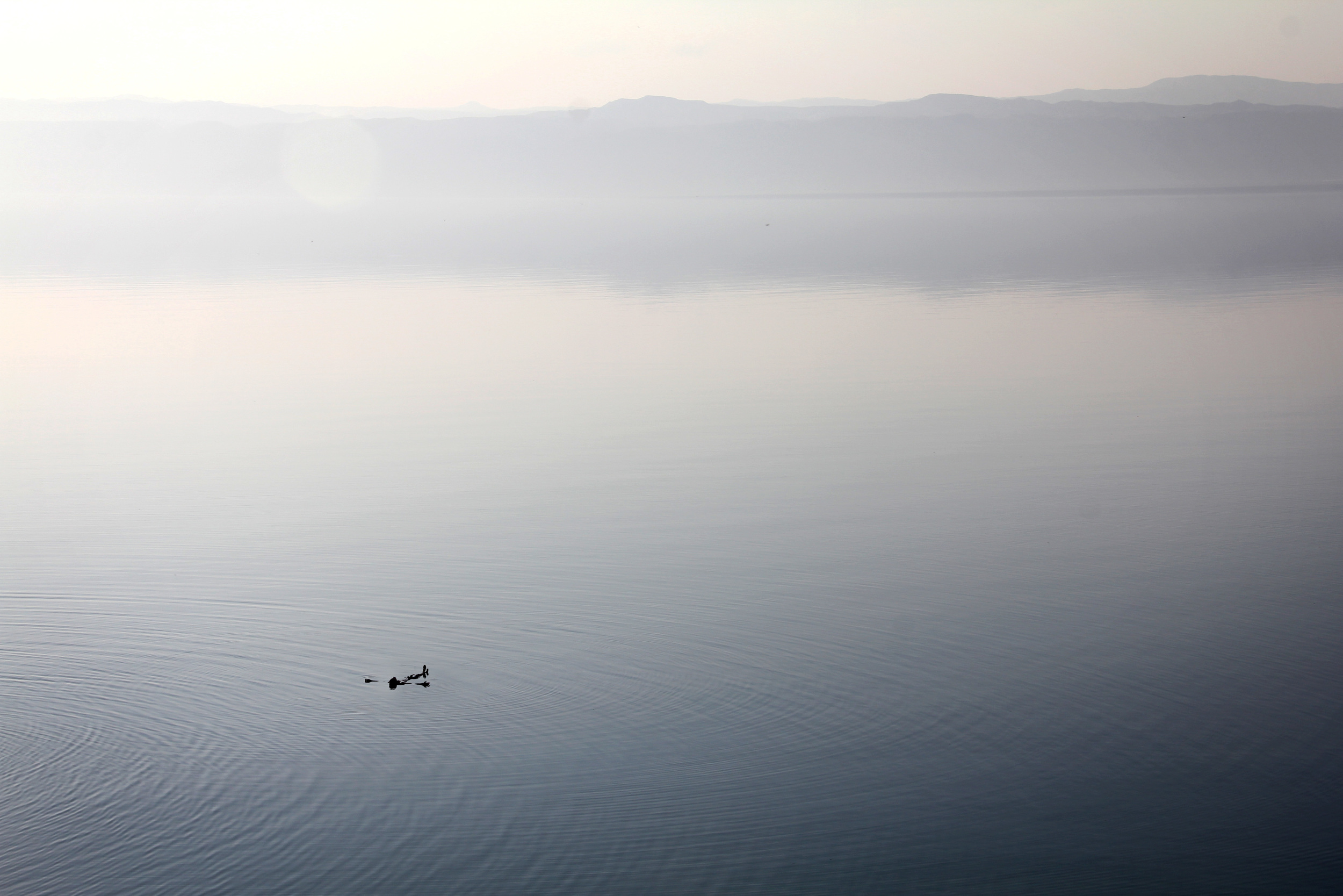 14.11.13 Dan in the Dead Sea.JPG
