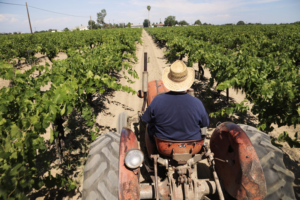 The "Greatest Family Reunion Ever"