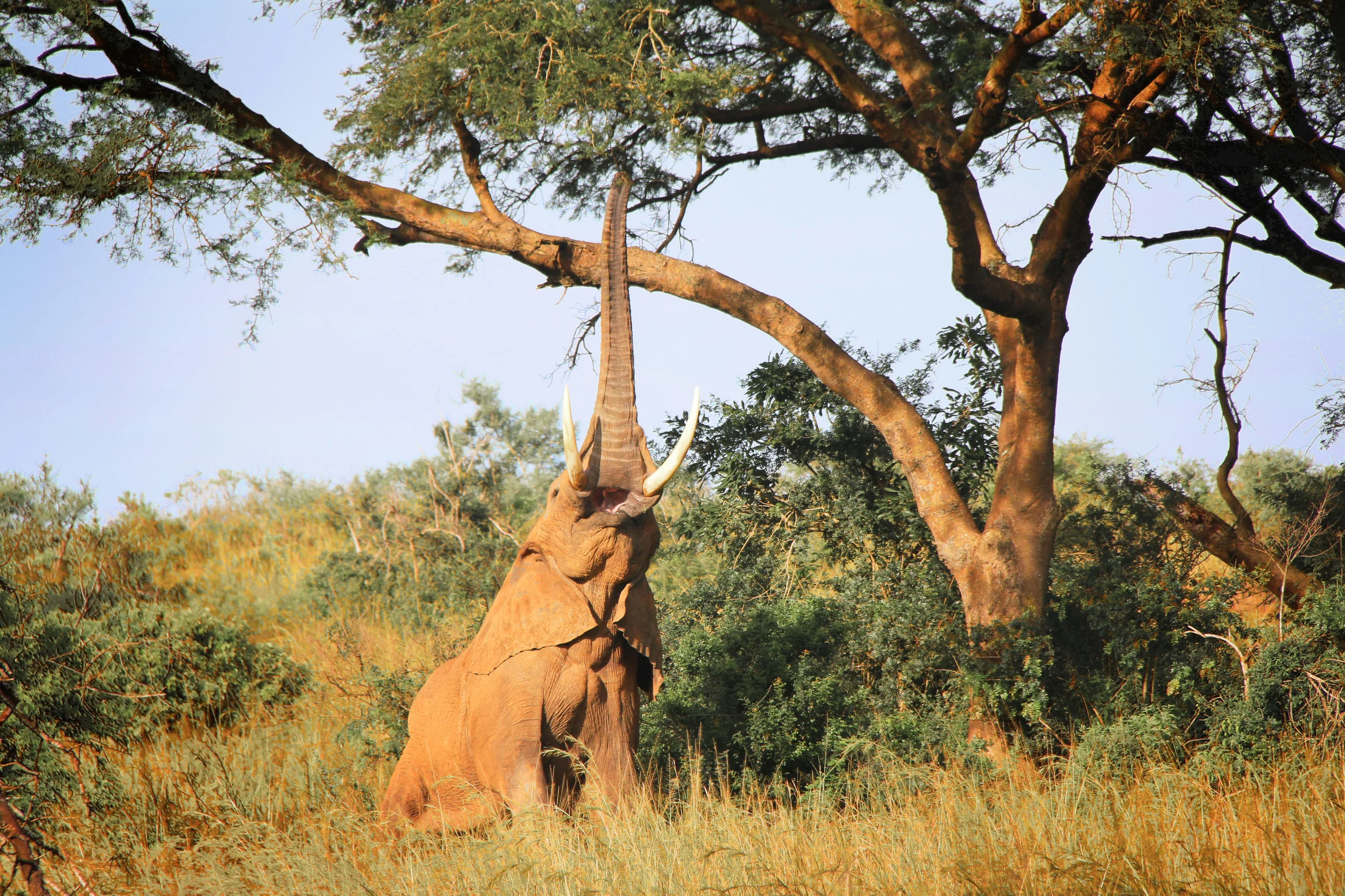 The 21 Best Things About Living in Uganda
