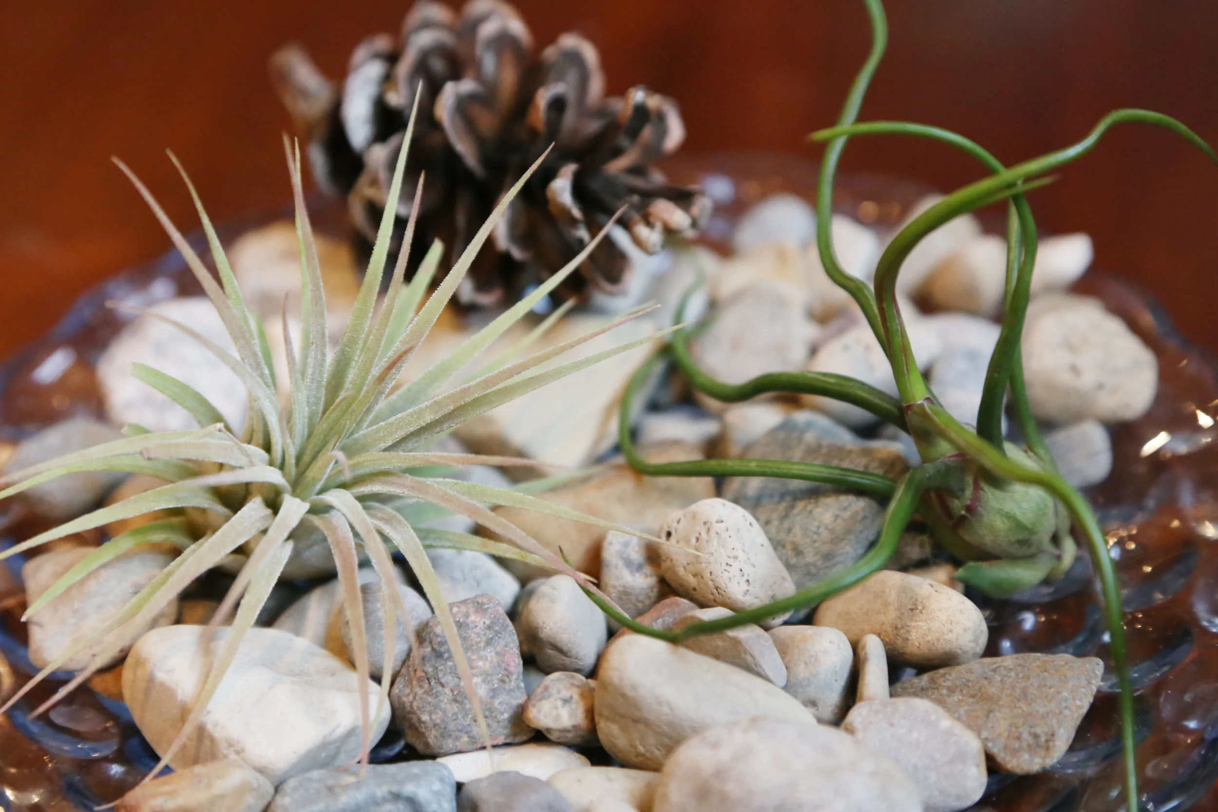 My Creations This Week