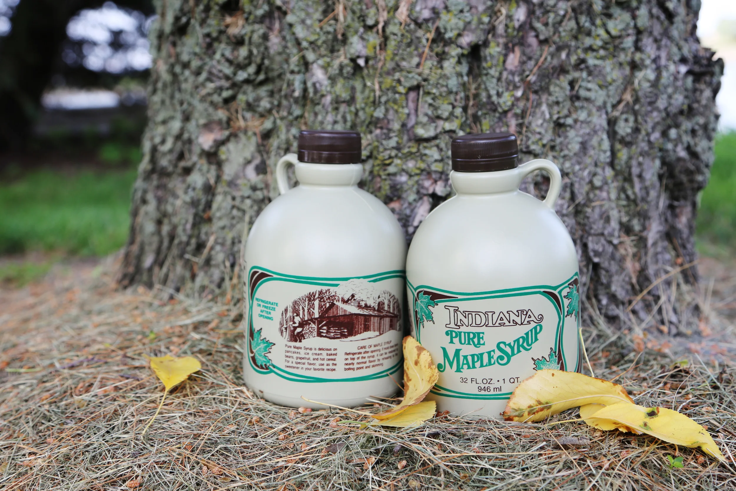 Making Maple Syrup