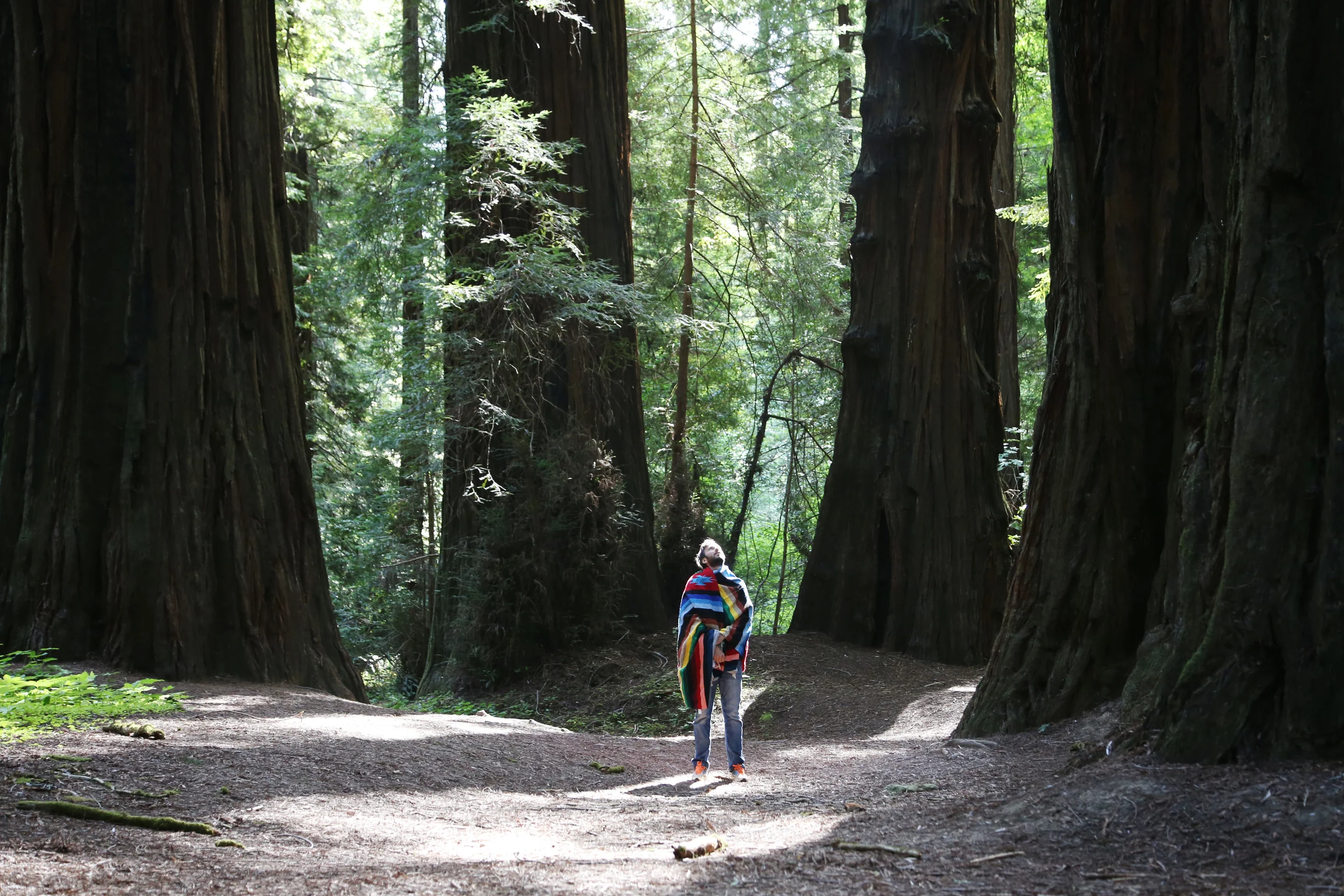 Inspiration to Make You Fall in Love With Our Earth