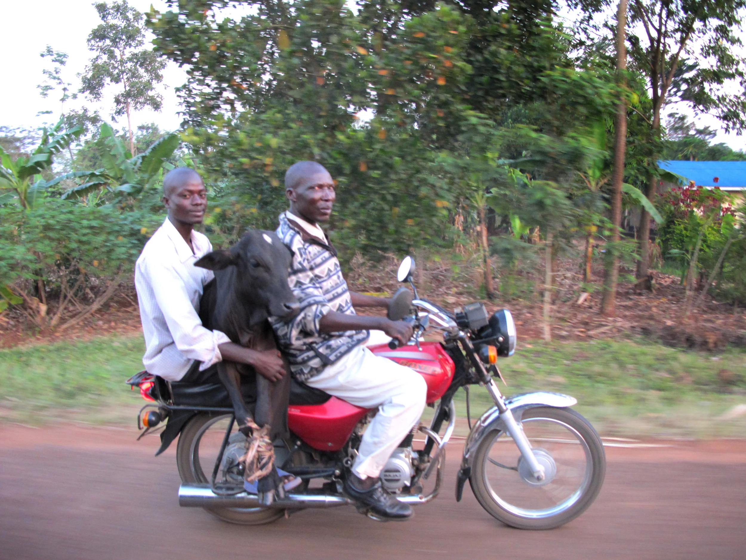 A Photographic Ode to the Boda Boda