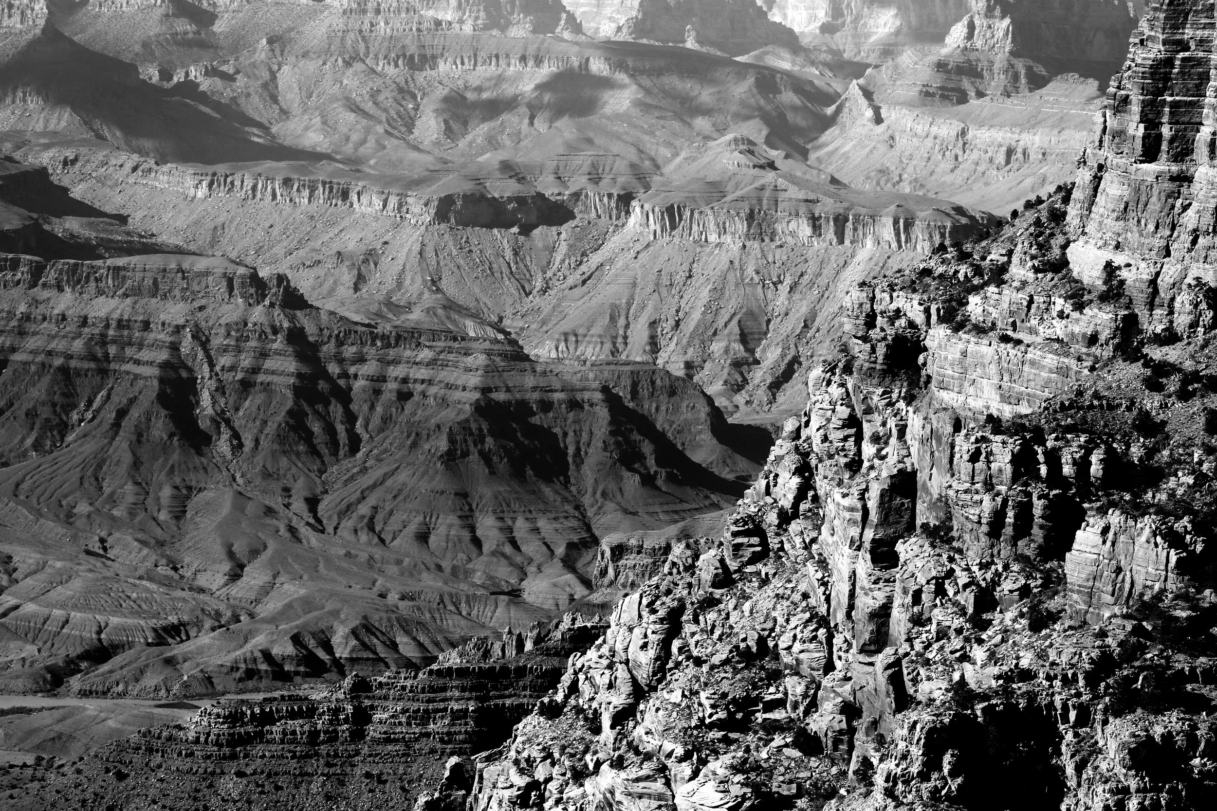 IMG_8362bw.jpg