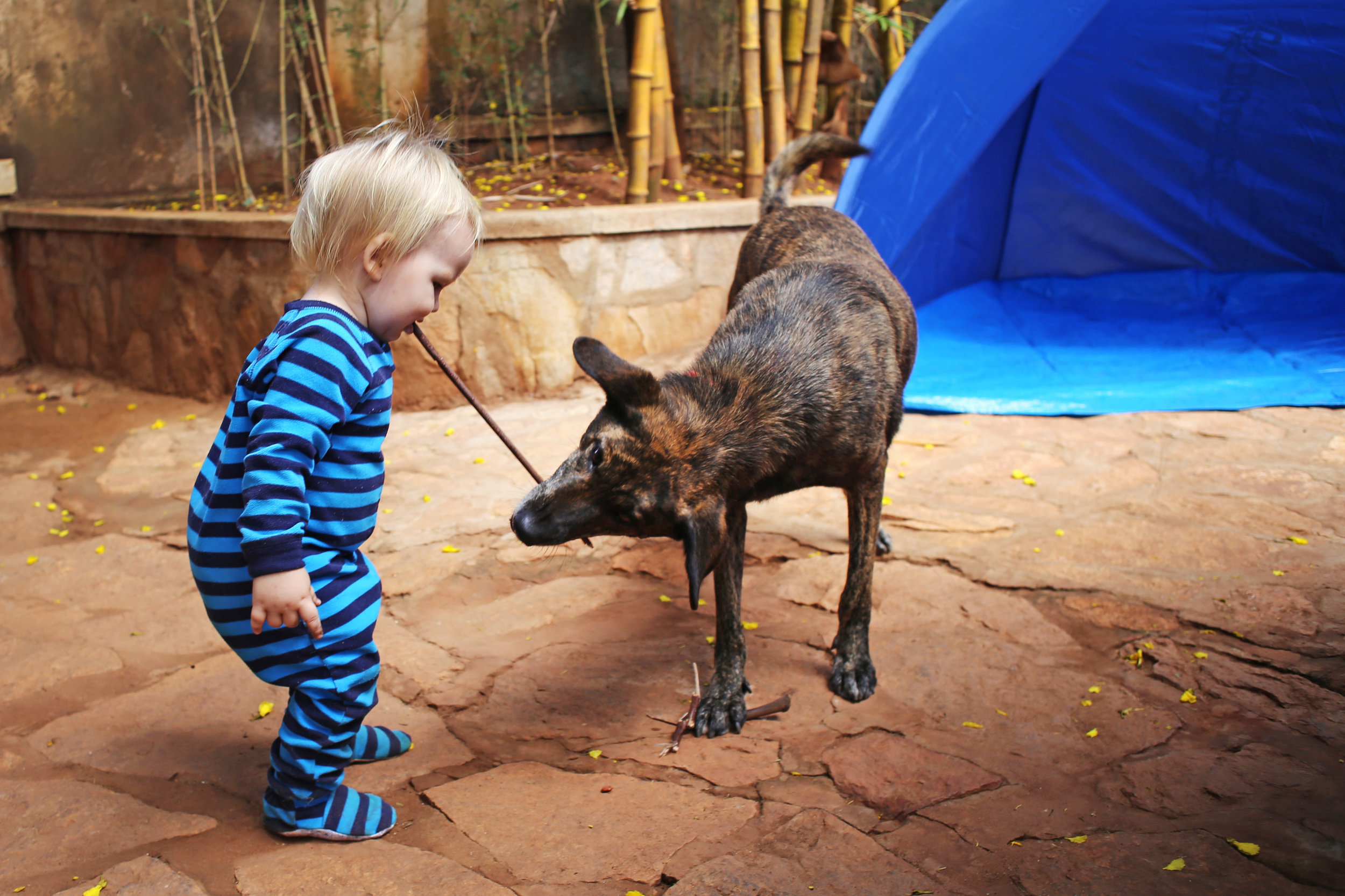 10.2.16 Sharing the stick.JPG