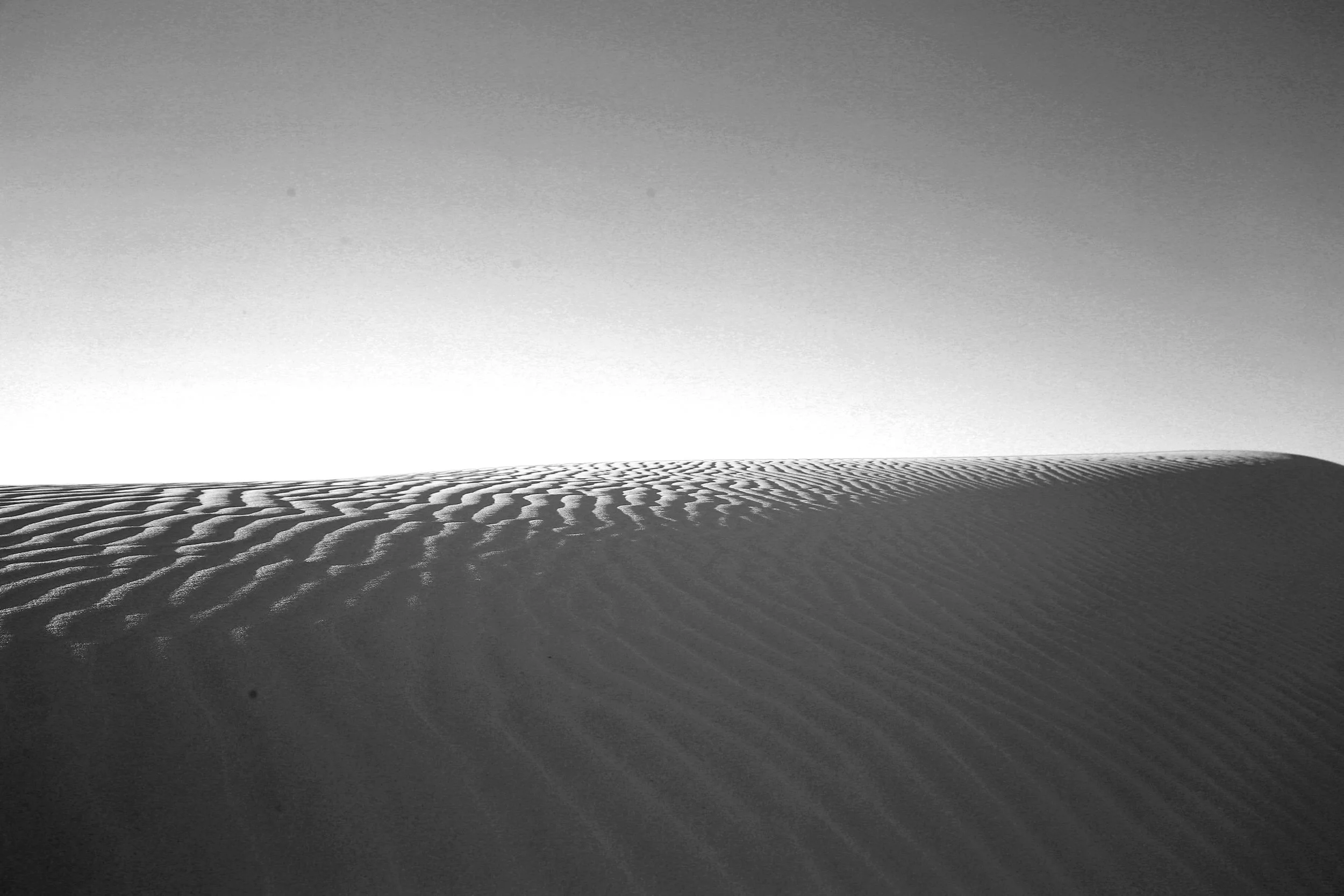 IMG_7840bw.jpg