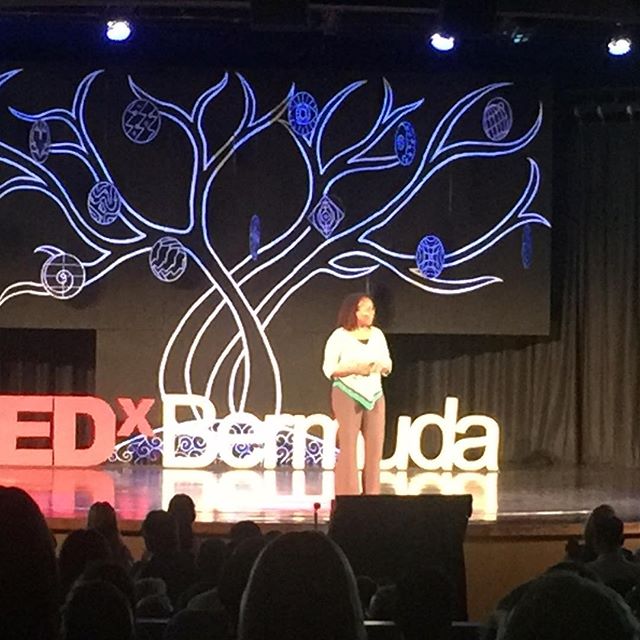 AyaNNA Howard #tedxbermuda #Robots #connect #tedx #bermuda