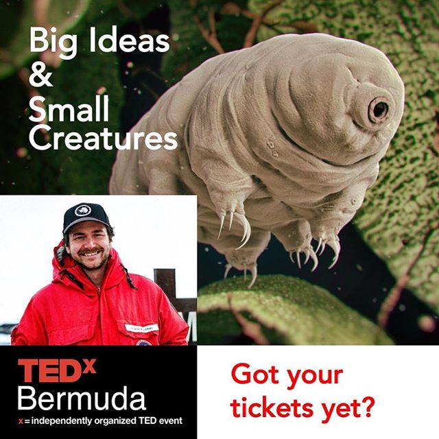 Thomas Boothby shares his work with the microscopic and unkillable tardigrades, along with the research that will change the world.  Get your tickets today!!! Link in bio.