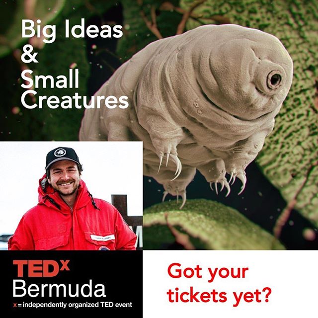 Thomas Boothby shares his work with the microscopic and unkillable tardigrades, along with the research that will change the world. Get your tickets today!!! Link in bio.