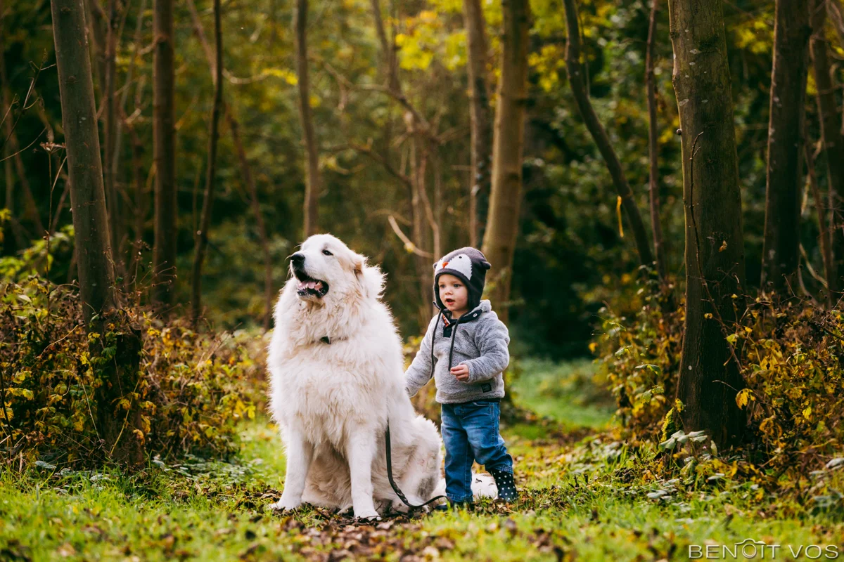 Petite séance automnale