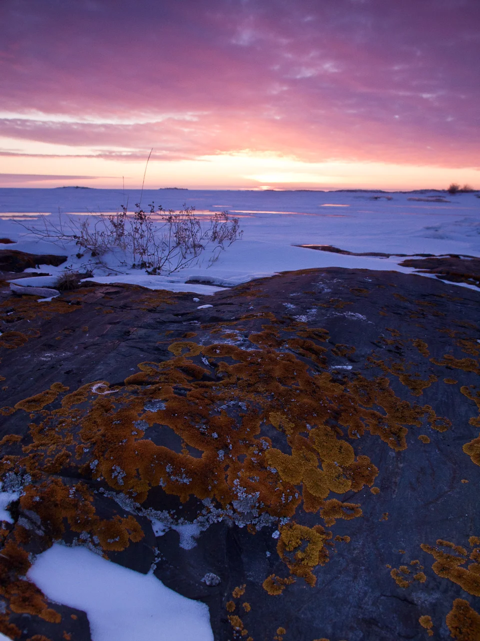 Nigel Fearon Photography | nigelfearon.ca