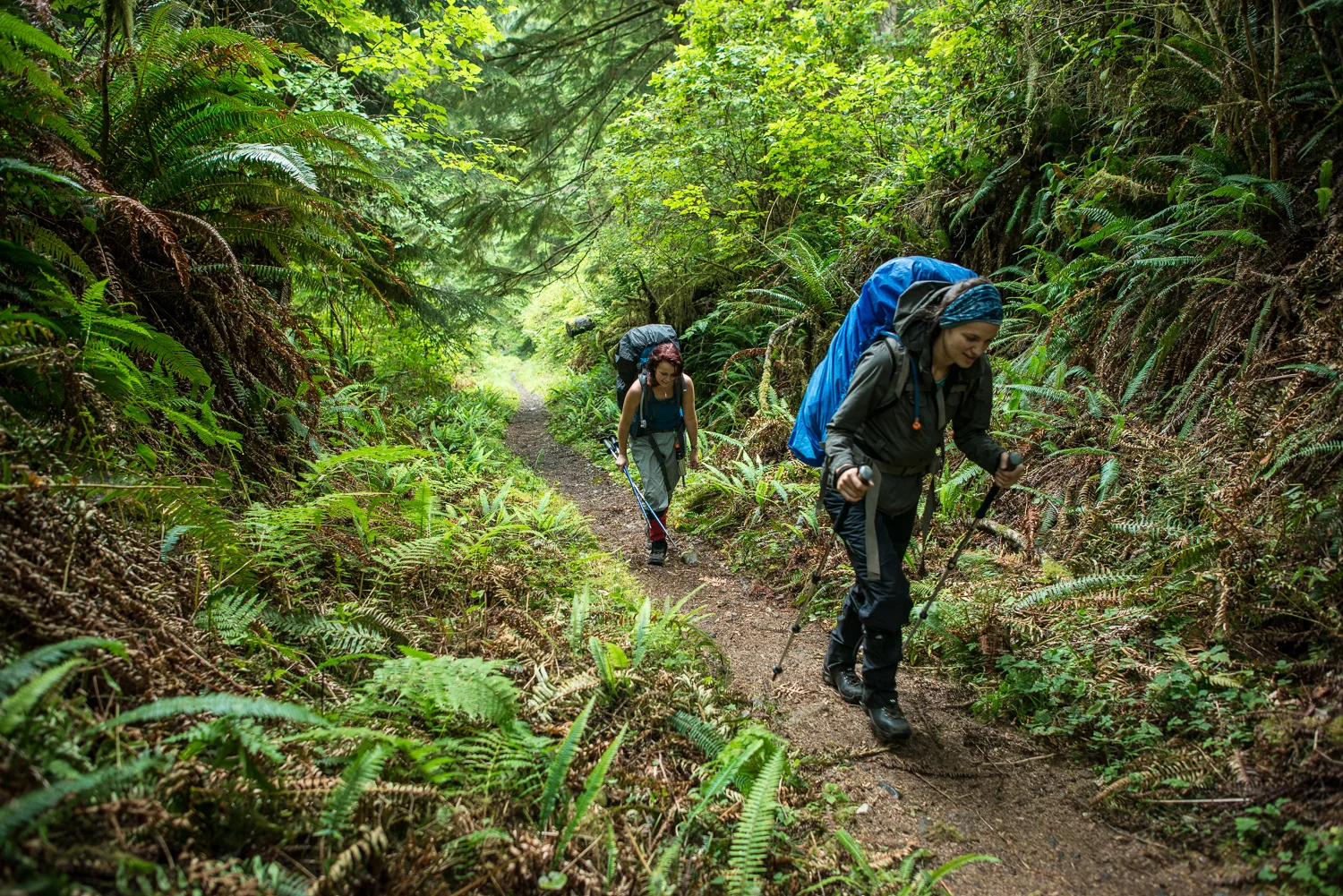 Nigel Fearon Photography | The West Coast Trail-4.jpg