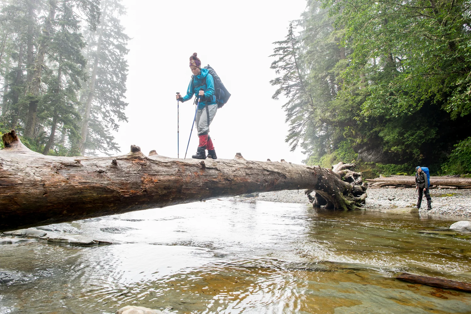 Nigel Fearon Photography | The West Coast Trail-19.jpg