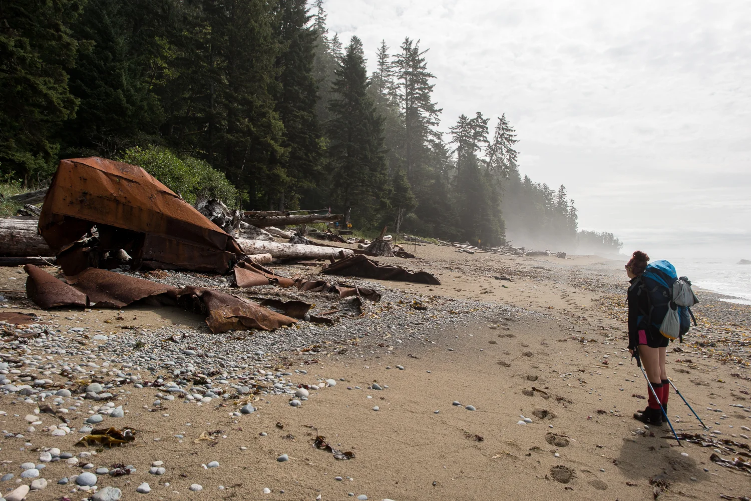 Nigel Fearon Photography | The West Coast Trail-23.jpg