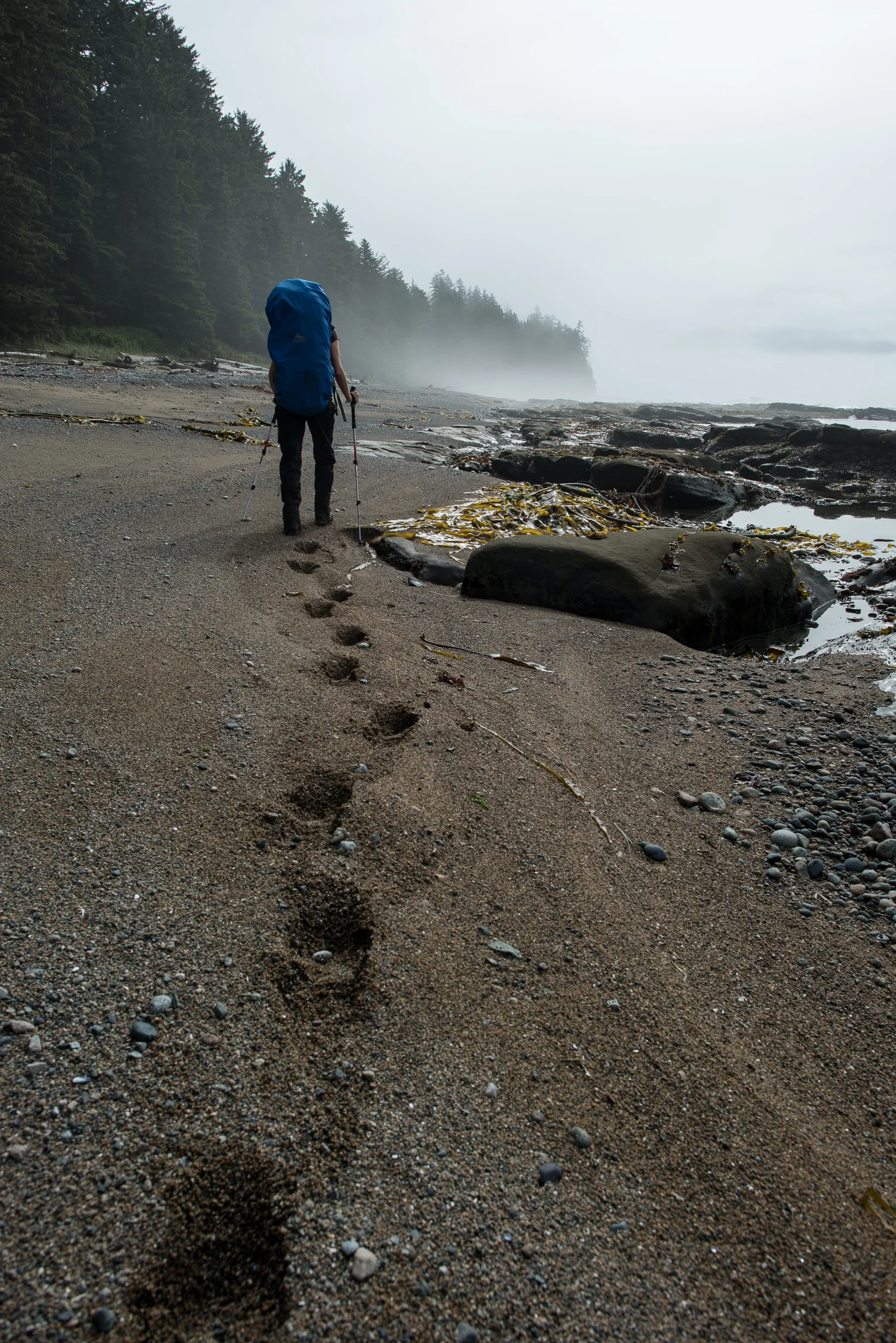 Nigel Fearon Photography | The West Coast Trail-22.jpg