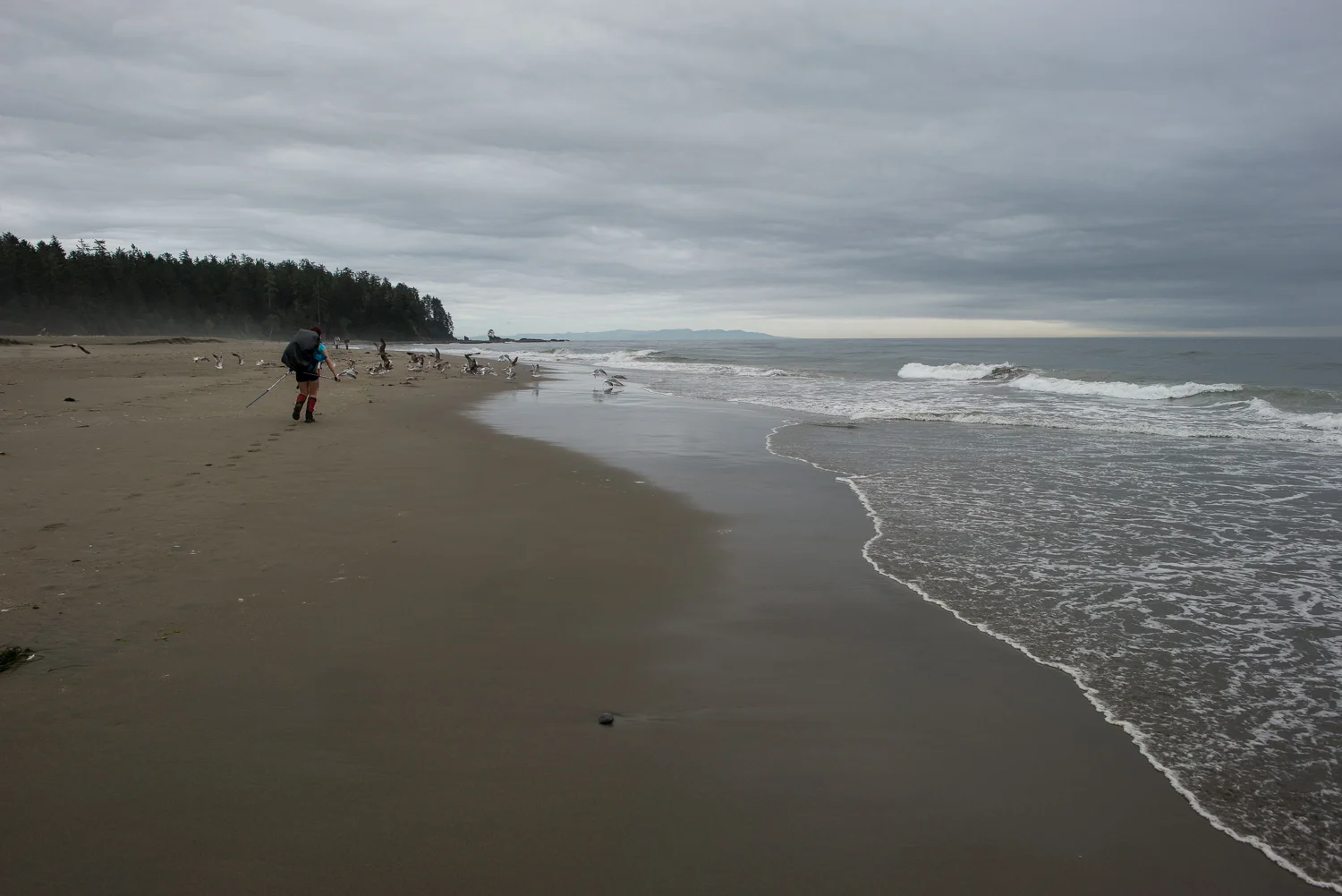 Nigel Fearon Photography | The West Coast Trail-38.jpg