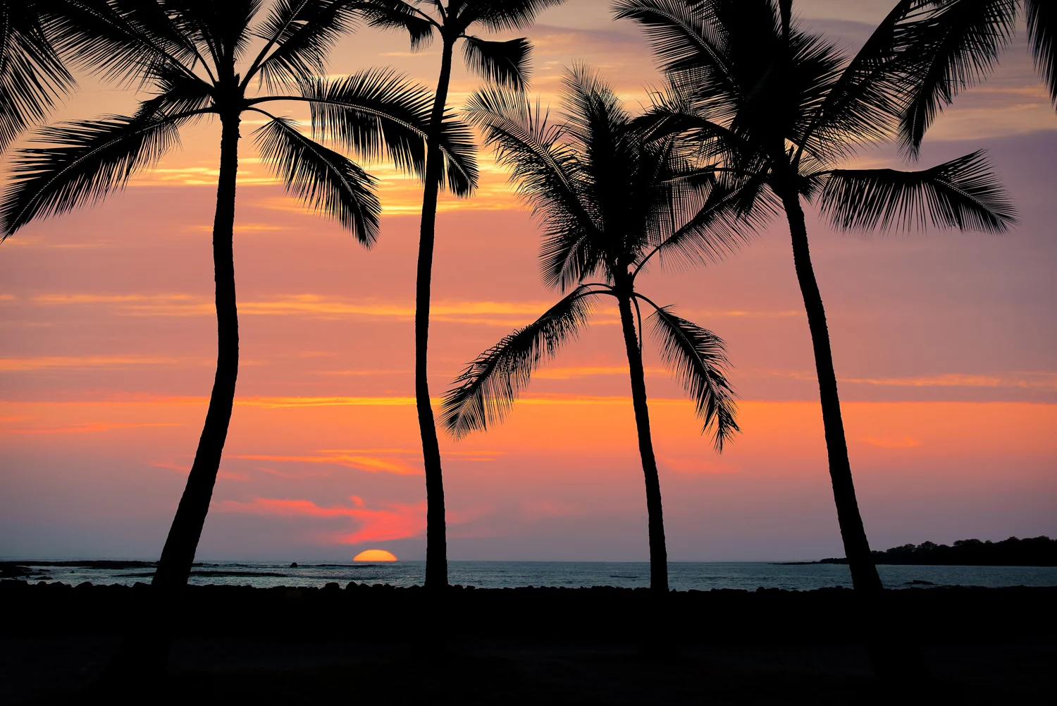 Nigel Fearon Photography | Hawaii-4.jpg