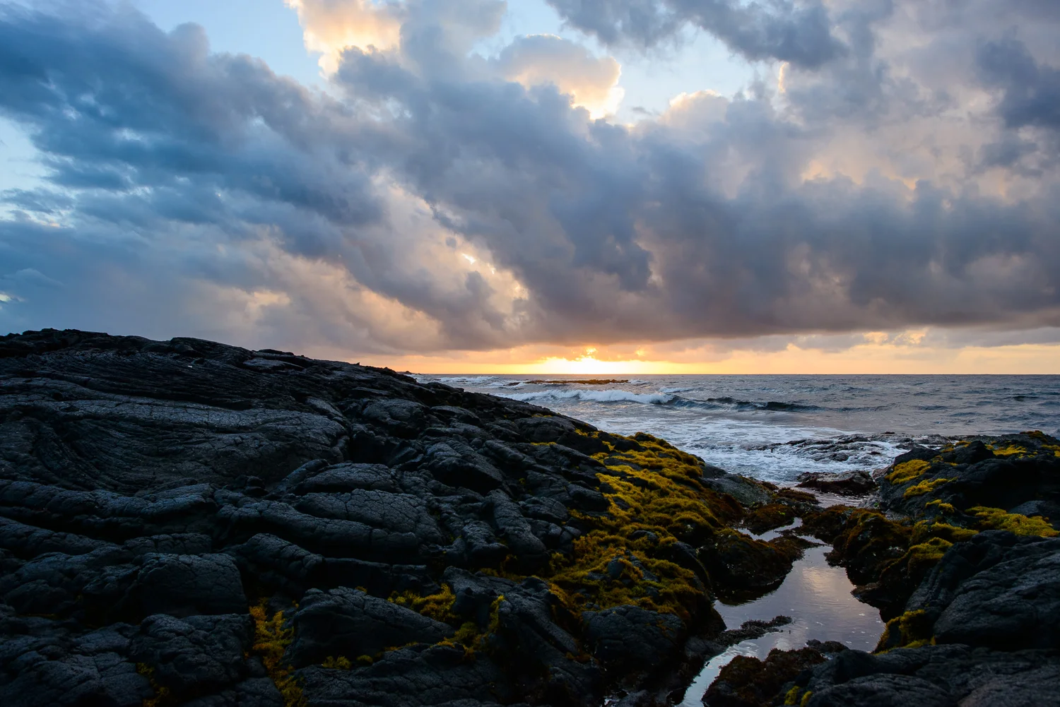Nigel Fearon Photography | Hawaii-72.jpg
