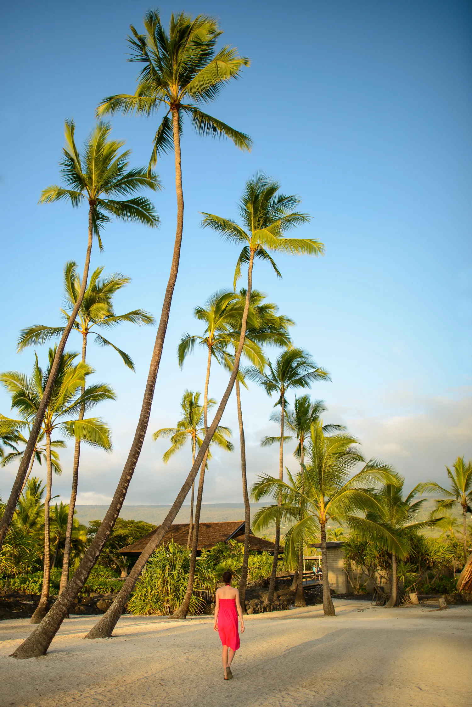 Nigel Fearon Photography | Hawaii-81.jpg
