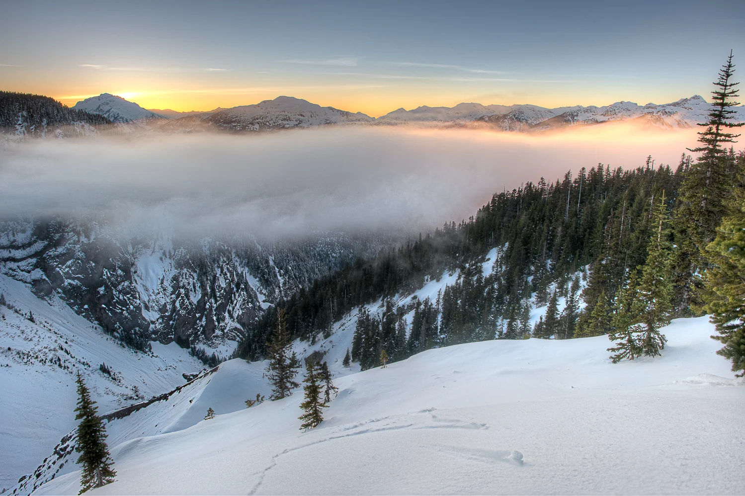 Nigel Fearon Photography | British Columbia-14.jpg