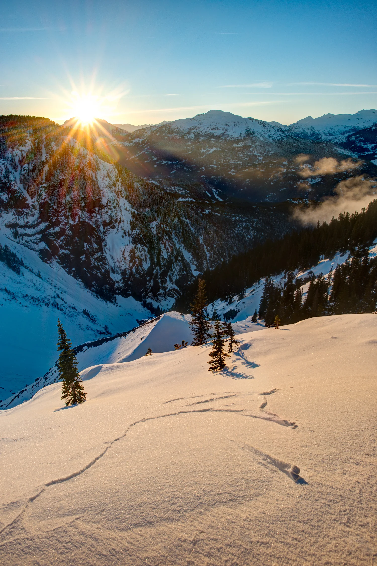 Nigel Fearon Photography | British Columbia-13.jpg