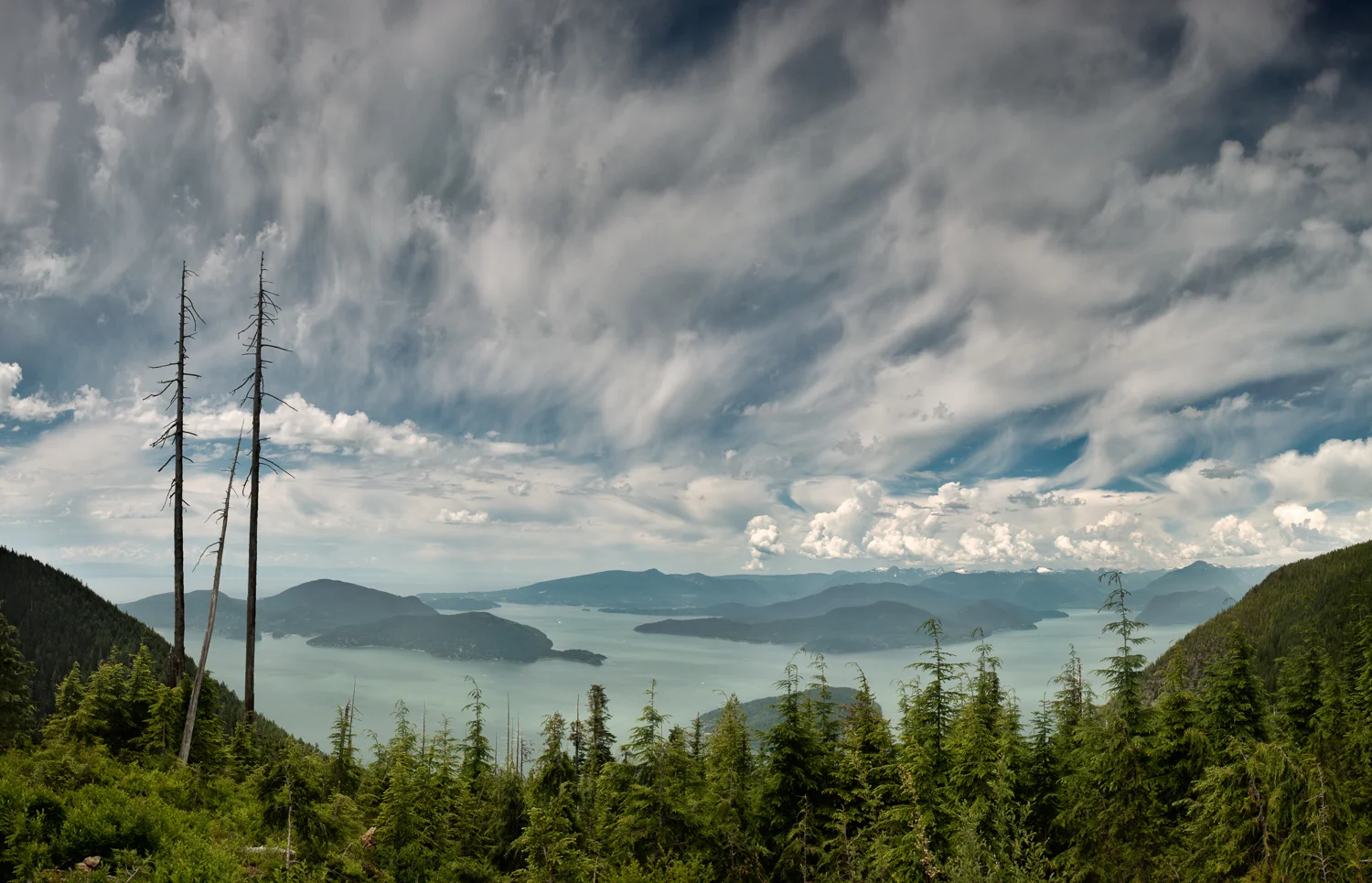 Nigel Fearon Photography | British Columbia-36.jpg