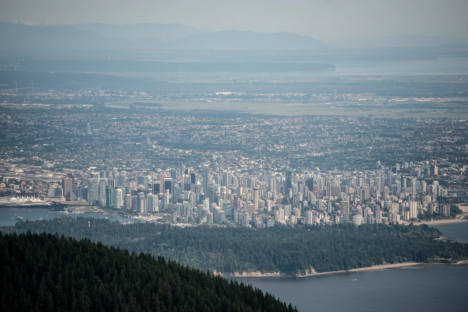 Nigel Fearon Photography | British Columbia-44.jpg