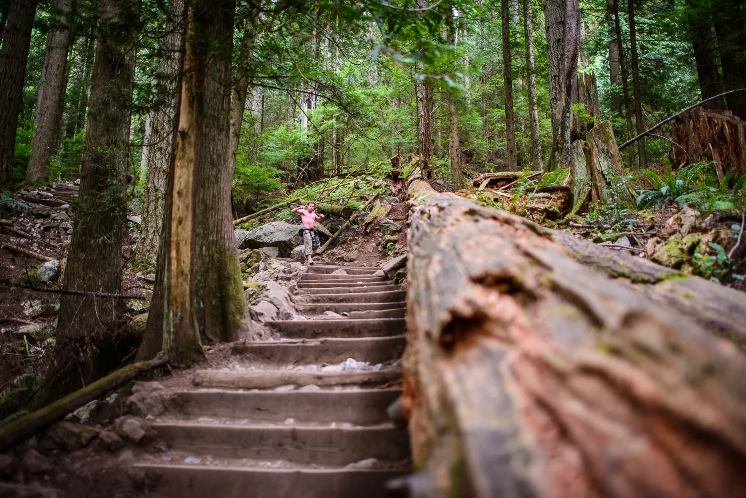 Nigel Fearon Photography | British Columbia-62.jpg