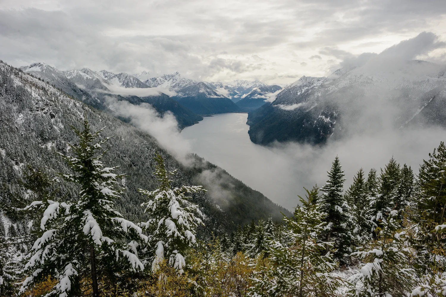 Nigel Fearon Photography | British Columbia-68.jpg