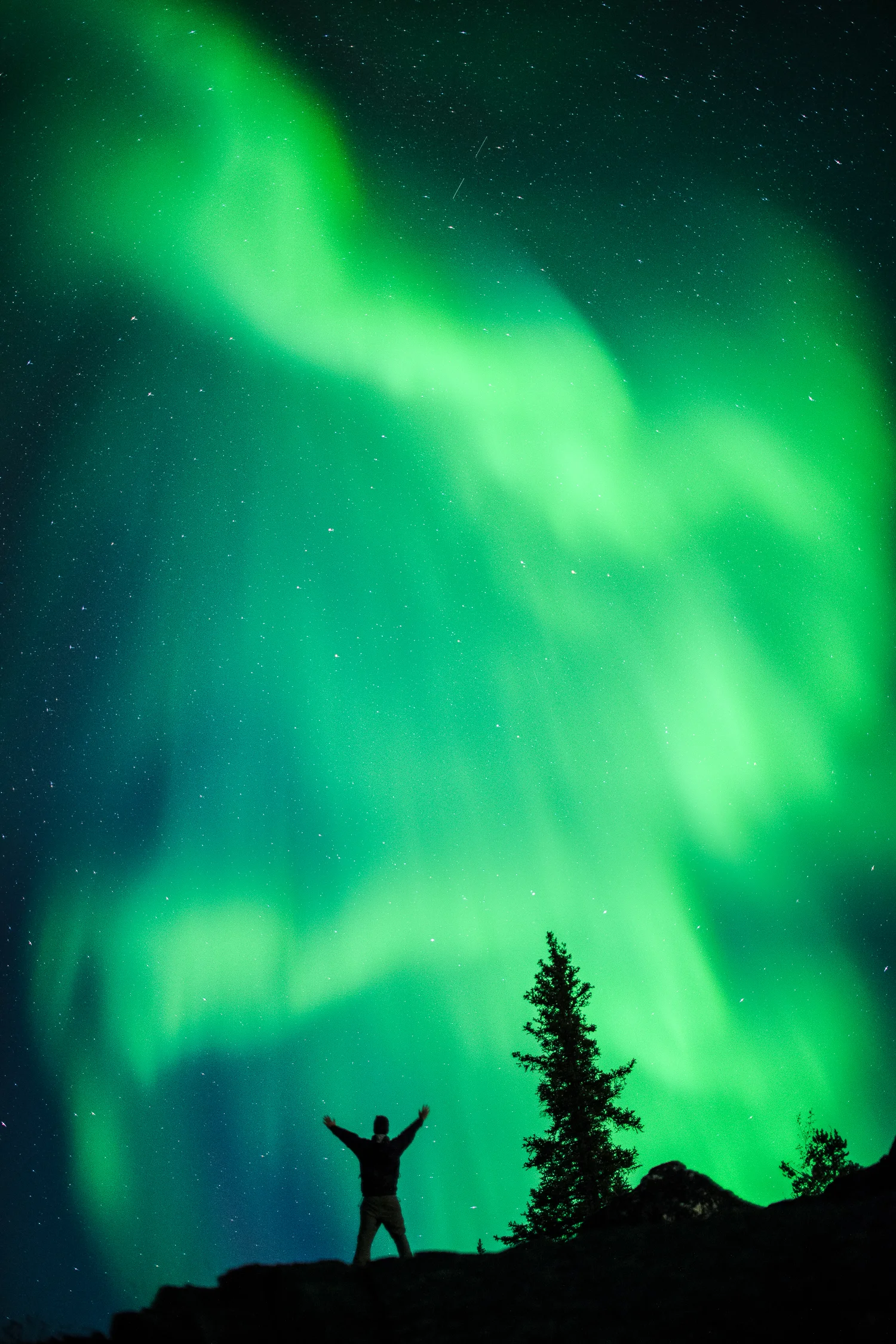 Nigel Fearon Photography | Peterson's Point Lake Lodge-66.jpg