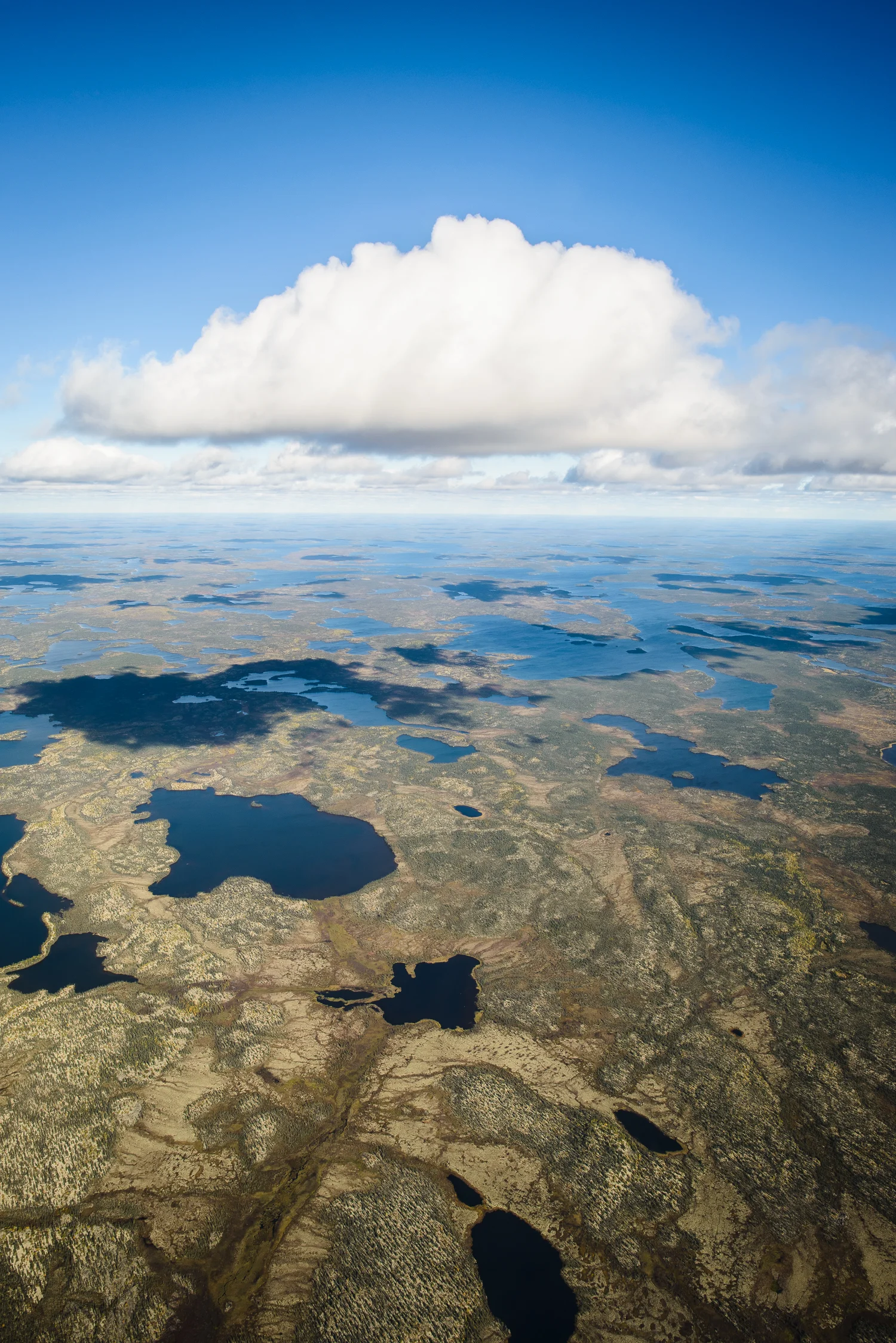 Nigel Fearon Photography | Peterson's Point Lake Lodge-70.jpg
