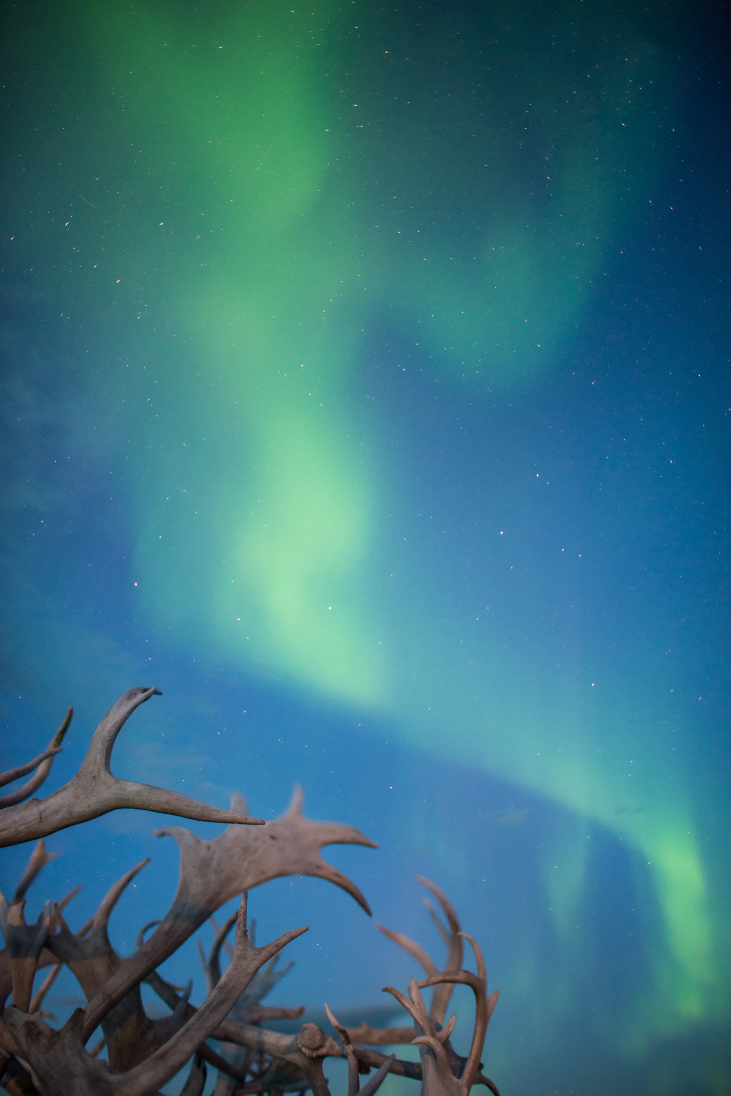Nigel Fearon Photography | Peterson's Point Lake Lodge-79.jpg