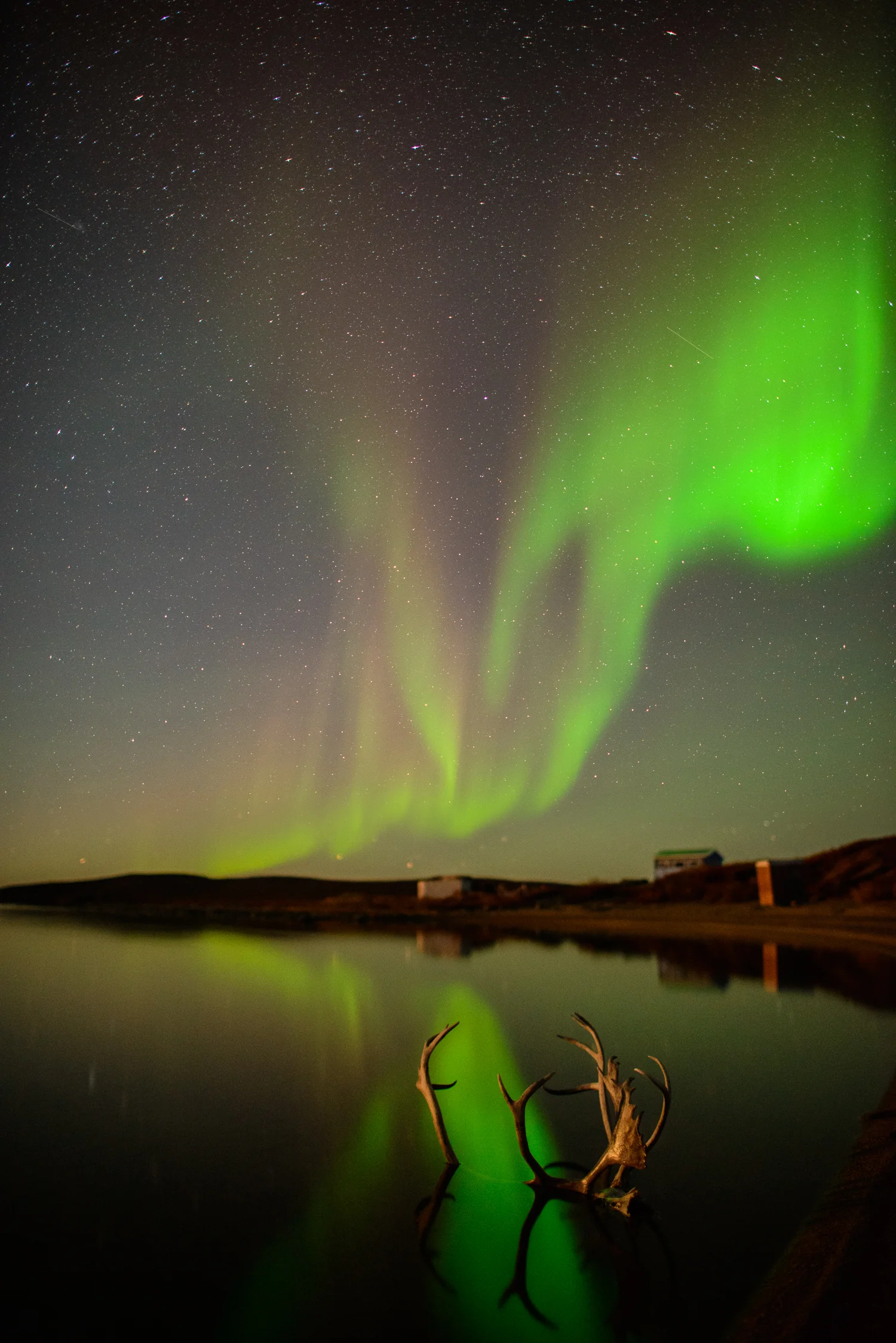 Nigel Fearon Photography | Peterson's Point Lake Lodge-98.jpg