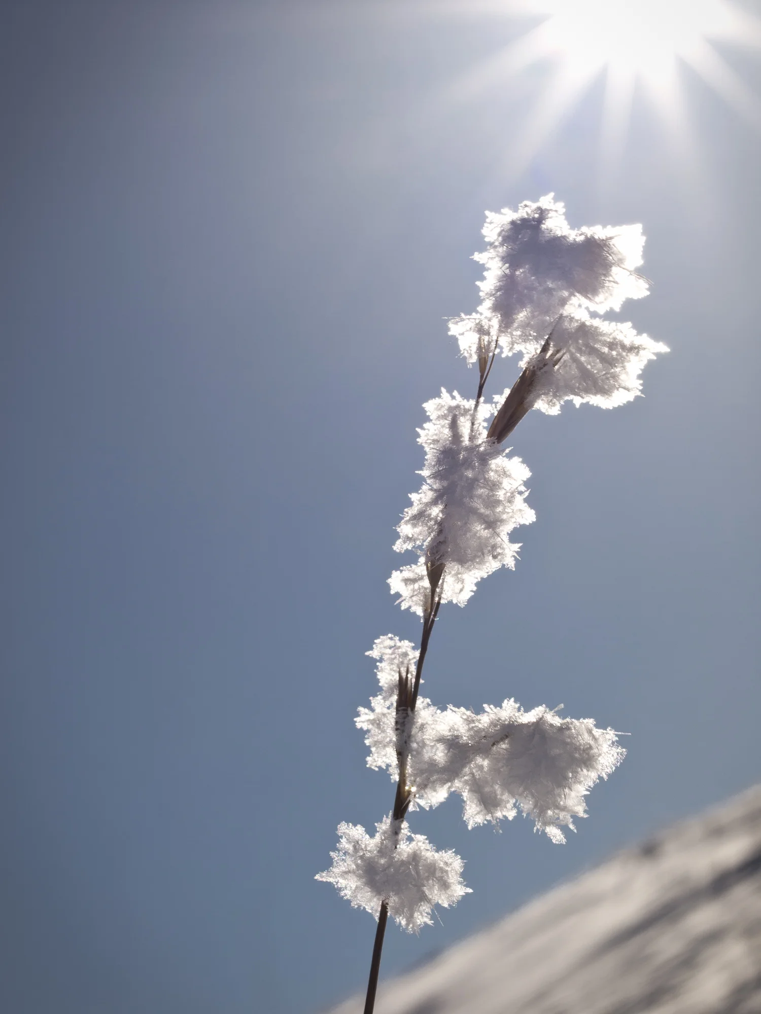 Nigel Fearon Photography | Kugluktuk, NU-45.jpg