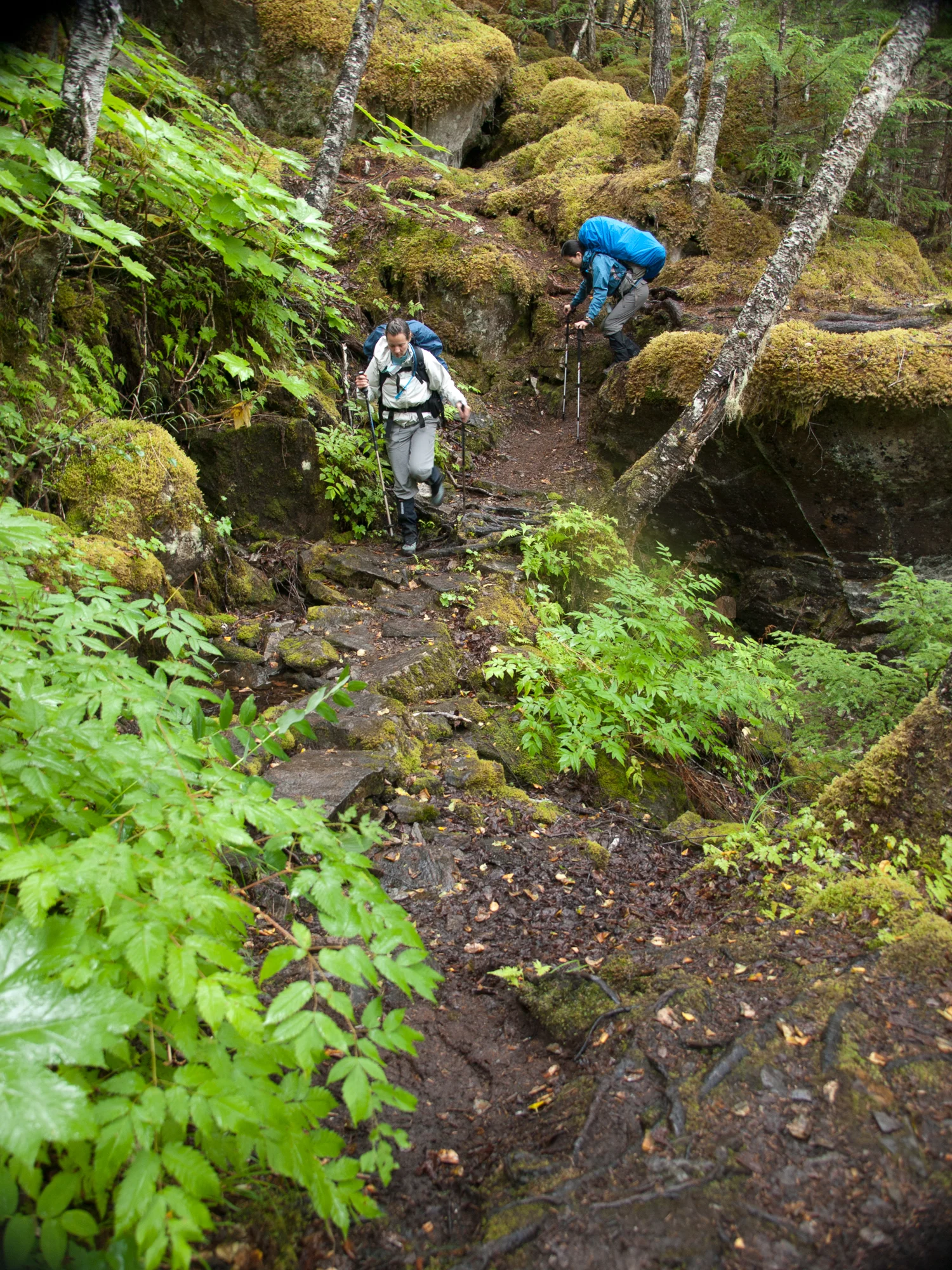 Nigel Fearon Photography | The Chilkoot Trail-18.jpg