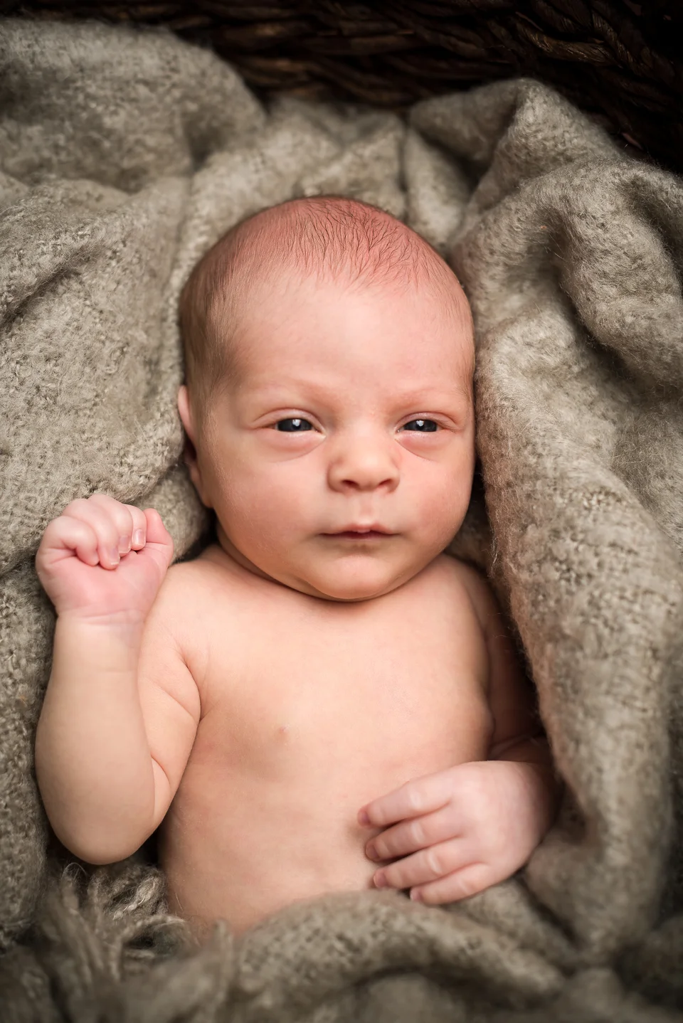Nigel Fearon Photography | Luca-15.jpg