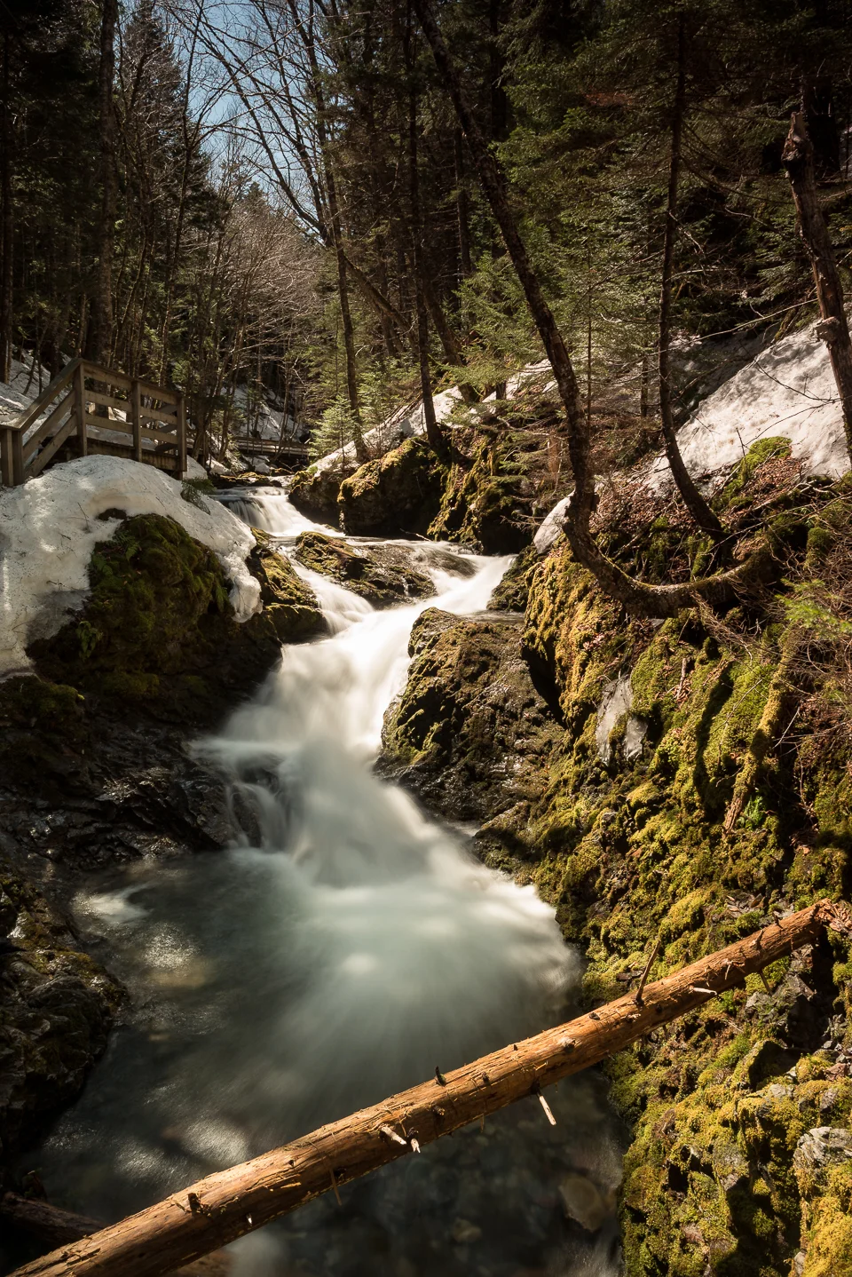 Nigel Fearon Photography | Fundy National Park Waterfalls-2.jpg
