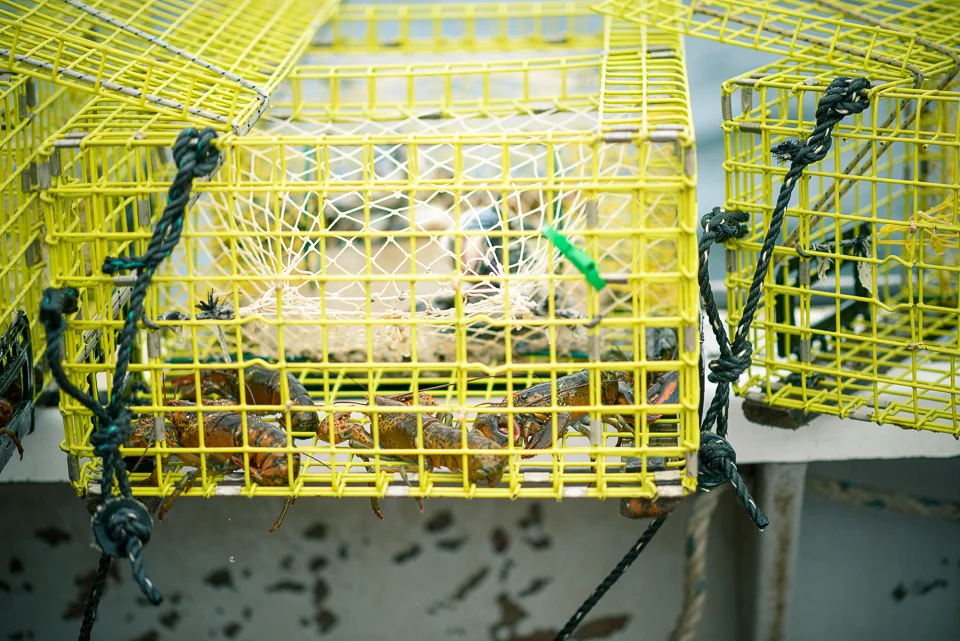 Nigel Fearon Photography | Lobster Fishing-27.jpg
