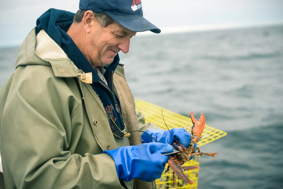 Lobster Fishing