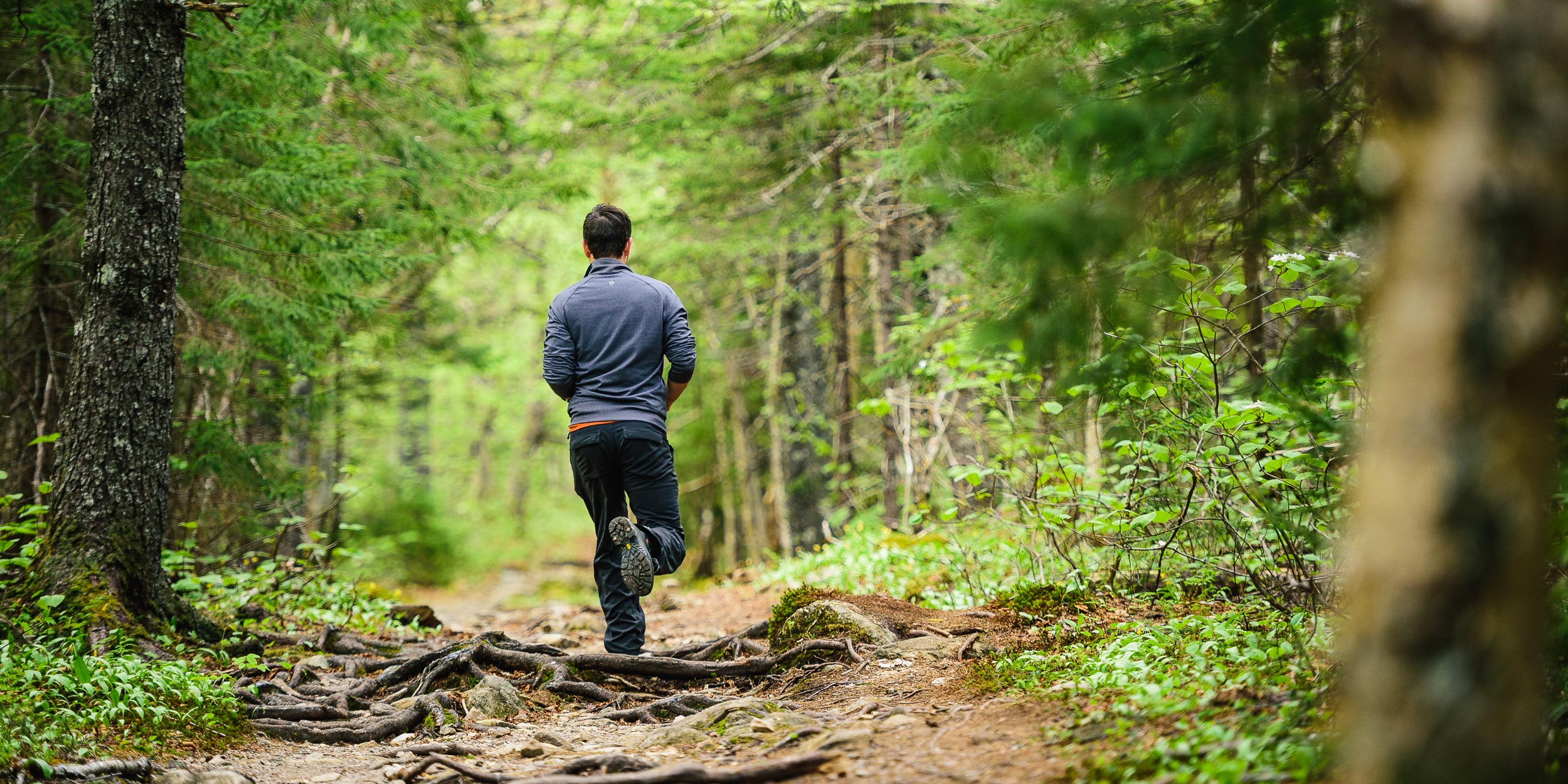 Nigel Fearon Photography | Parks 2017-1.jpg