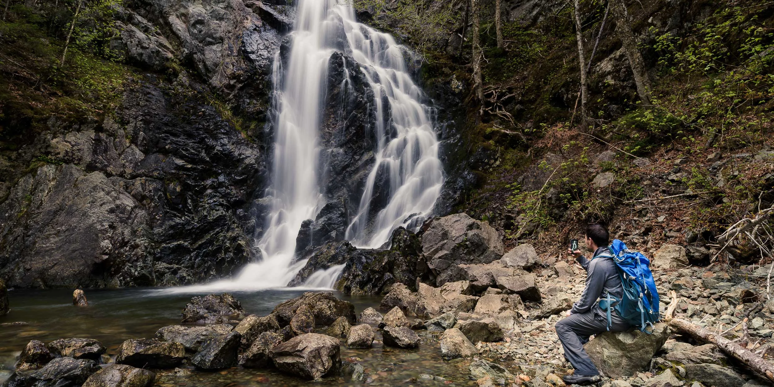 Nigel Fearon Photography | Parks 2017-3.jpg