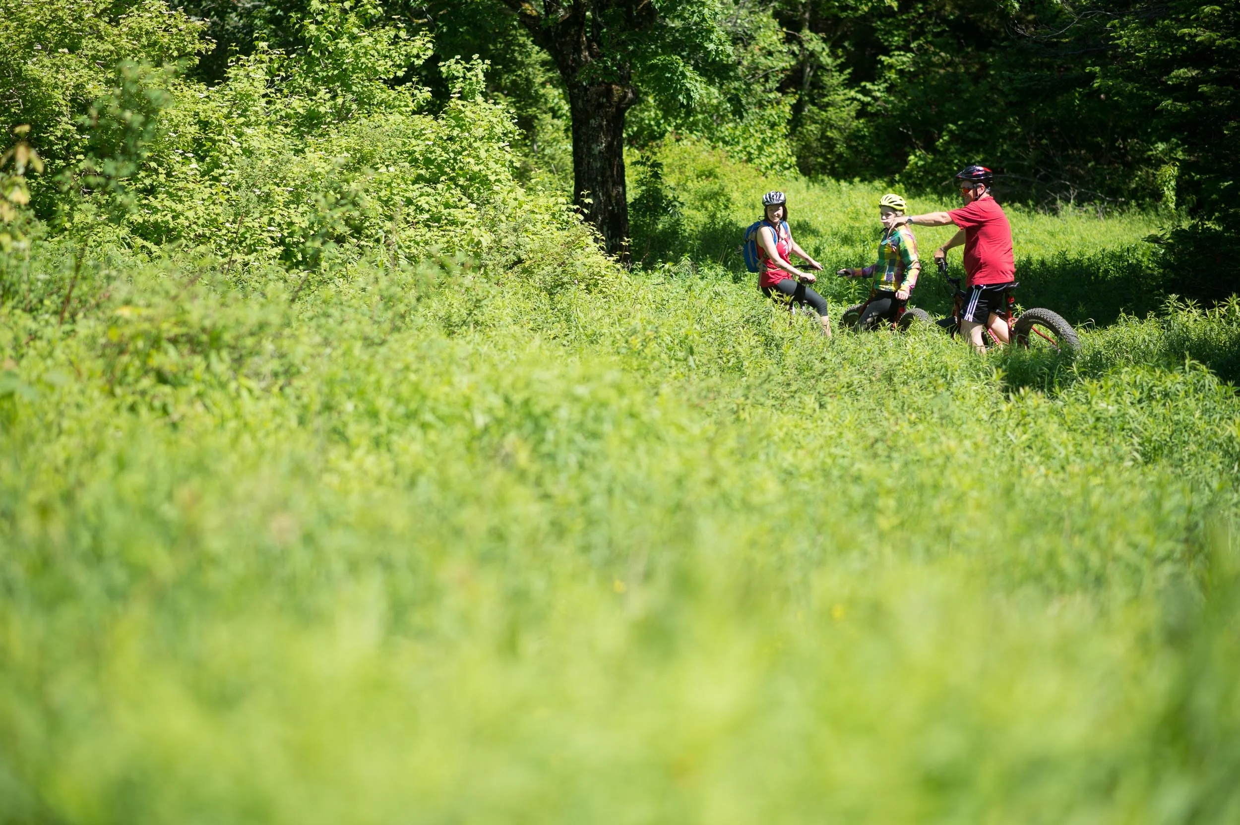 Nigel Fearon Photography | Parks 2017-7.jpg