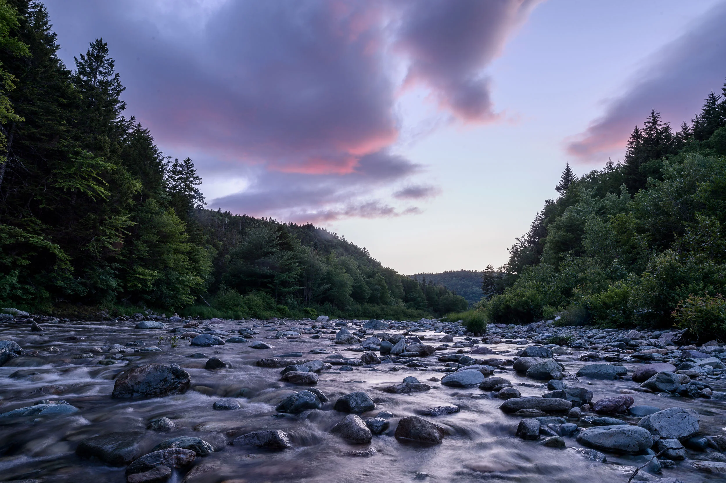 Nigel Fearon Photography | Parks 2017-11.jpg