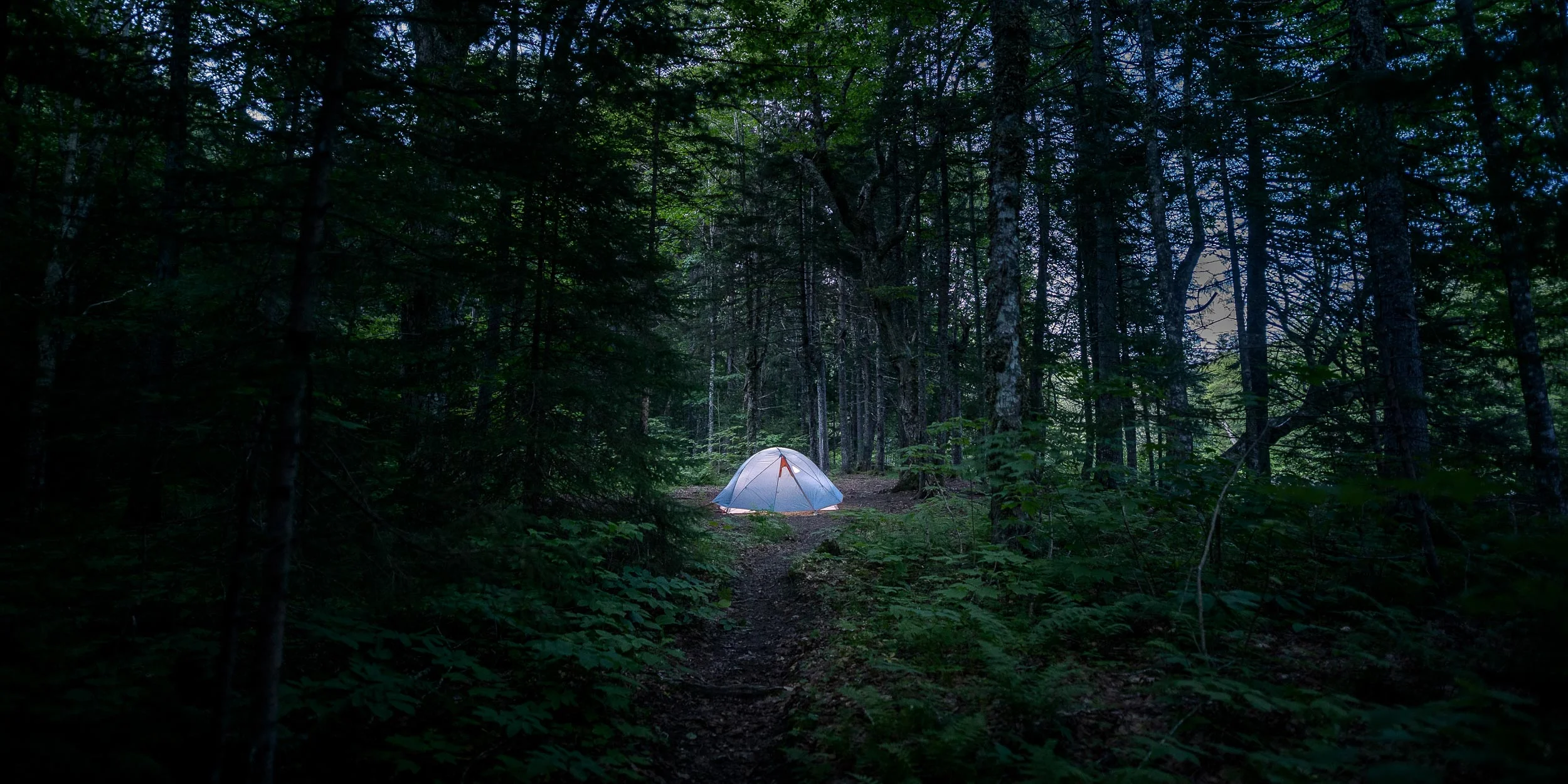 Nigel Fearon Photography | Parks 2017-13.jpg