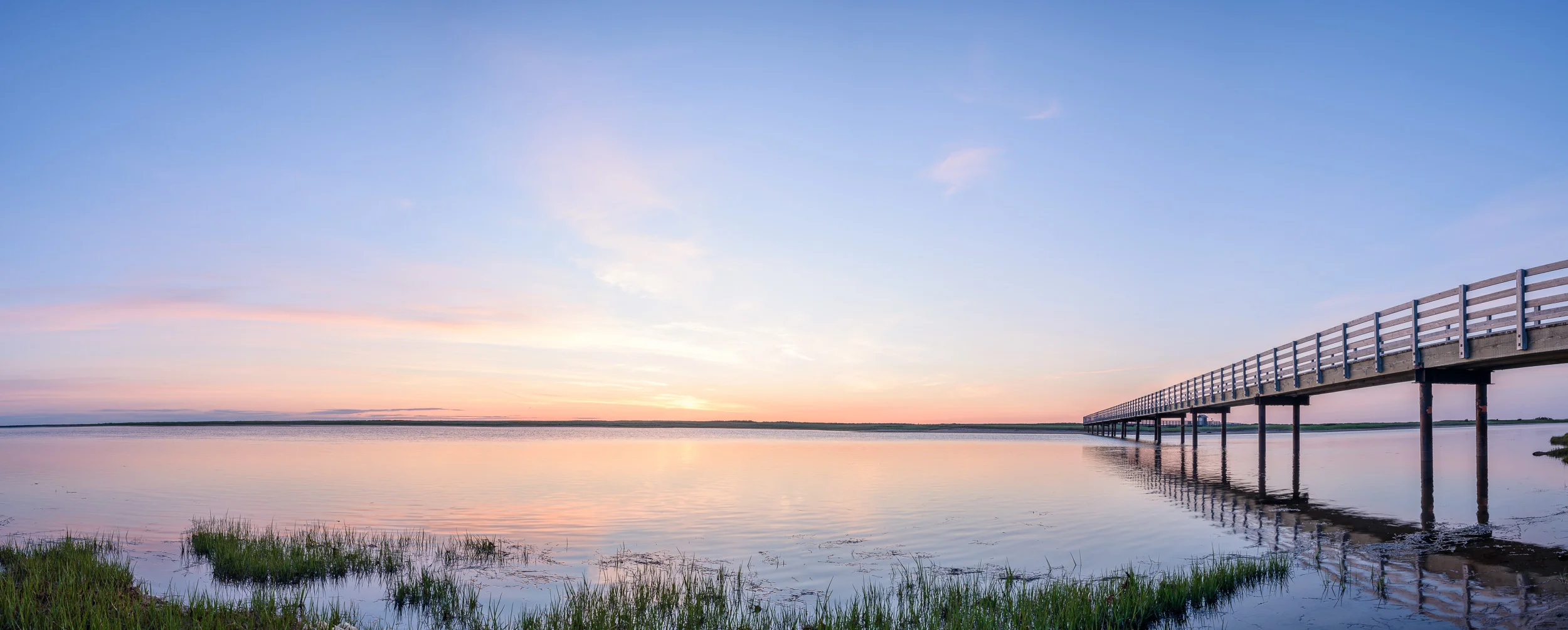 Nigel Fearon Photography | Parks-15.jpg