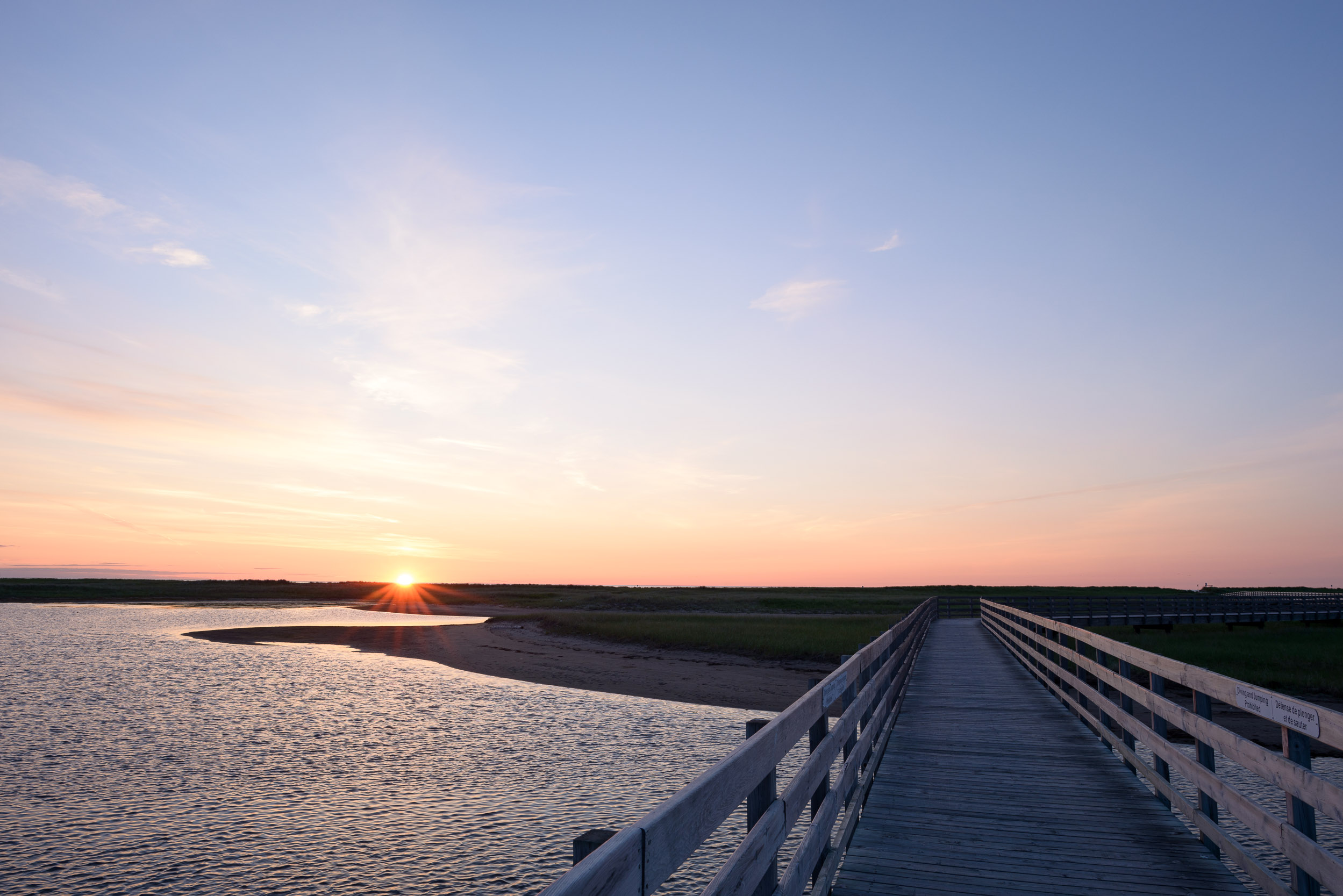 Nigel Fearon Photography | Parks-16.jpg