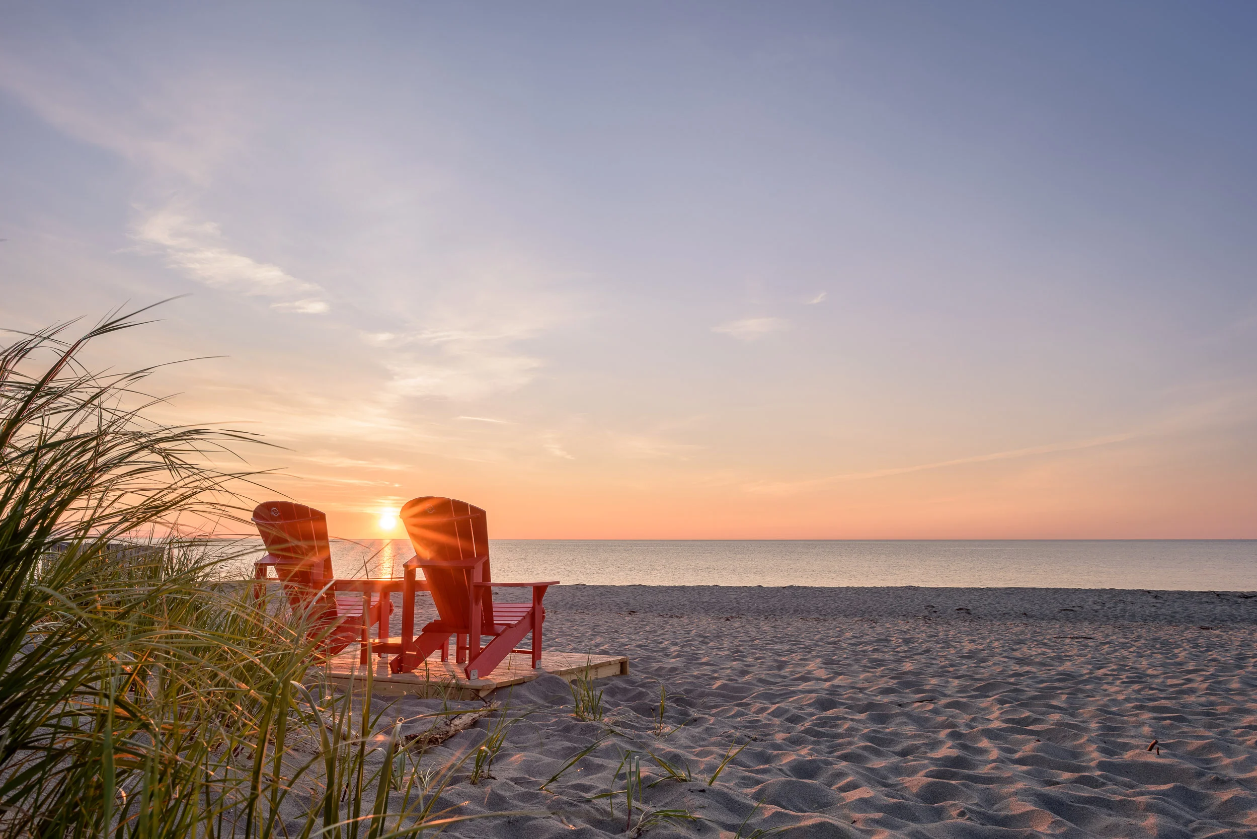 Nigel Fearon Photography | Parks-17.jpg