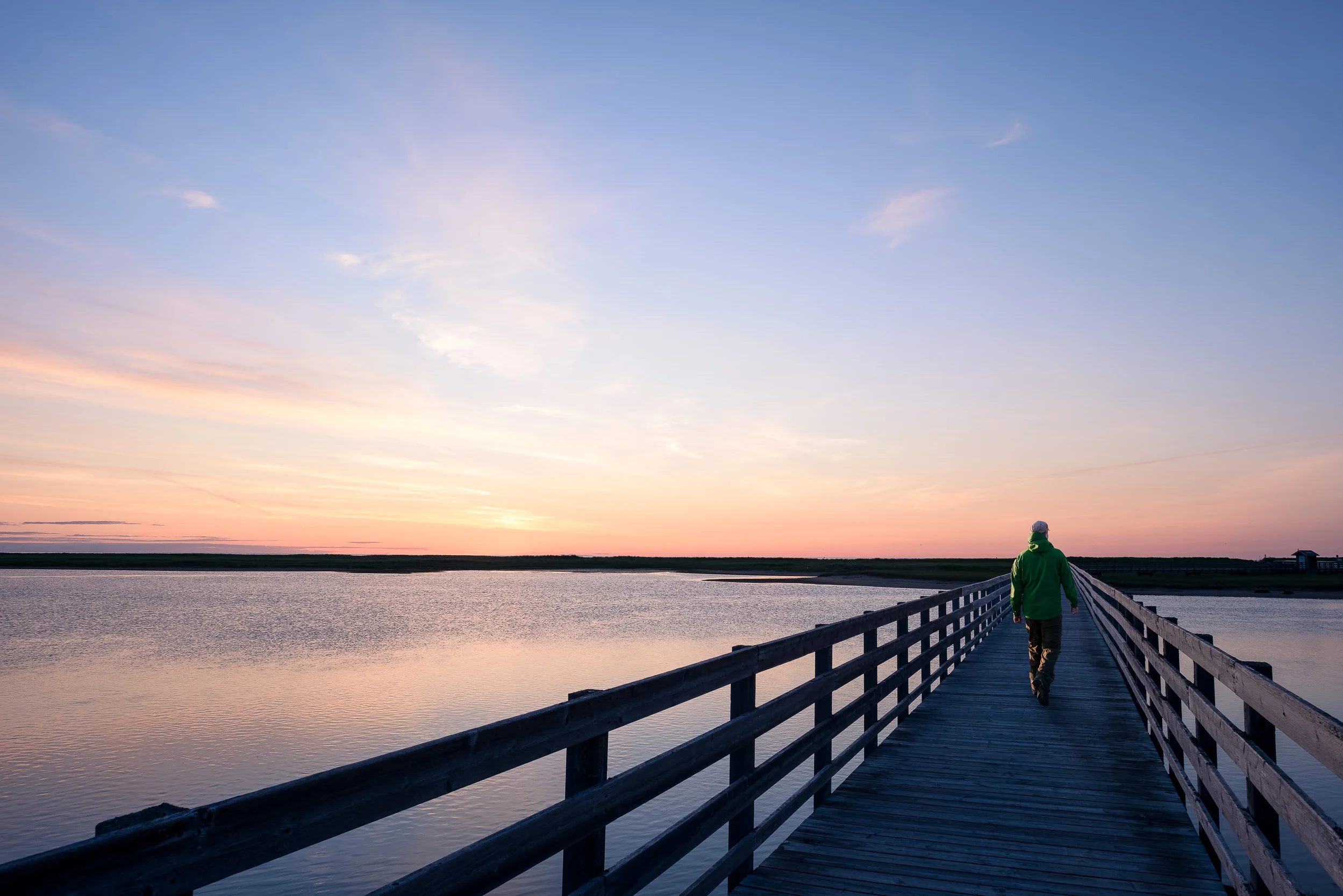 Nigel Fearon Photography | Parks-18.jpg