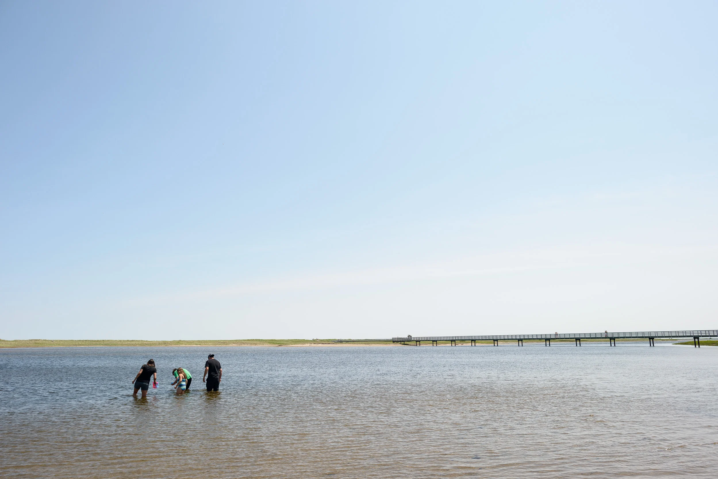 Nigel Fearon Photography | Parks-19.jpg