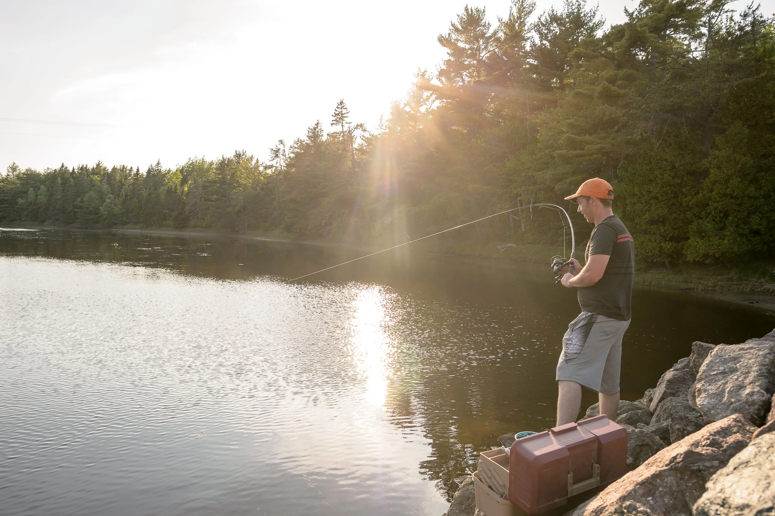 Nigel Fearon Photography | Parks-24.jpg